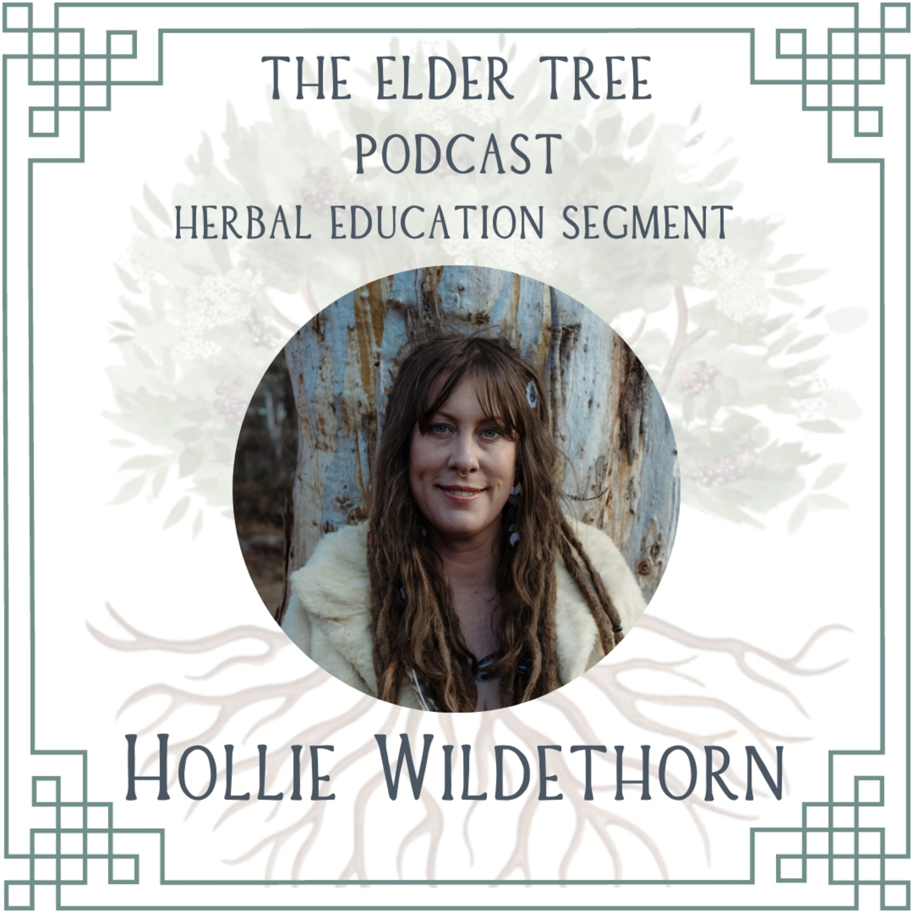 77. Majik, Maidens and Wise Women: Hollie Wildethorn on Herbal Education episode artwork