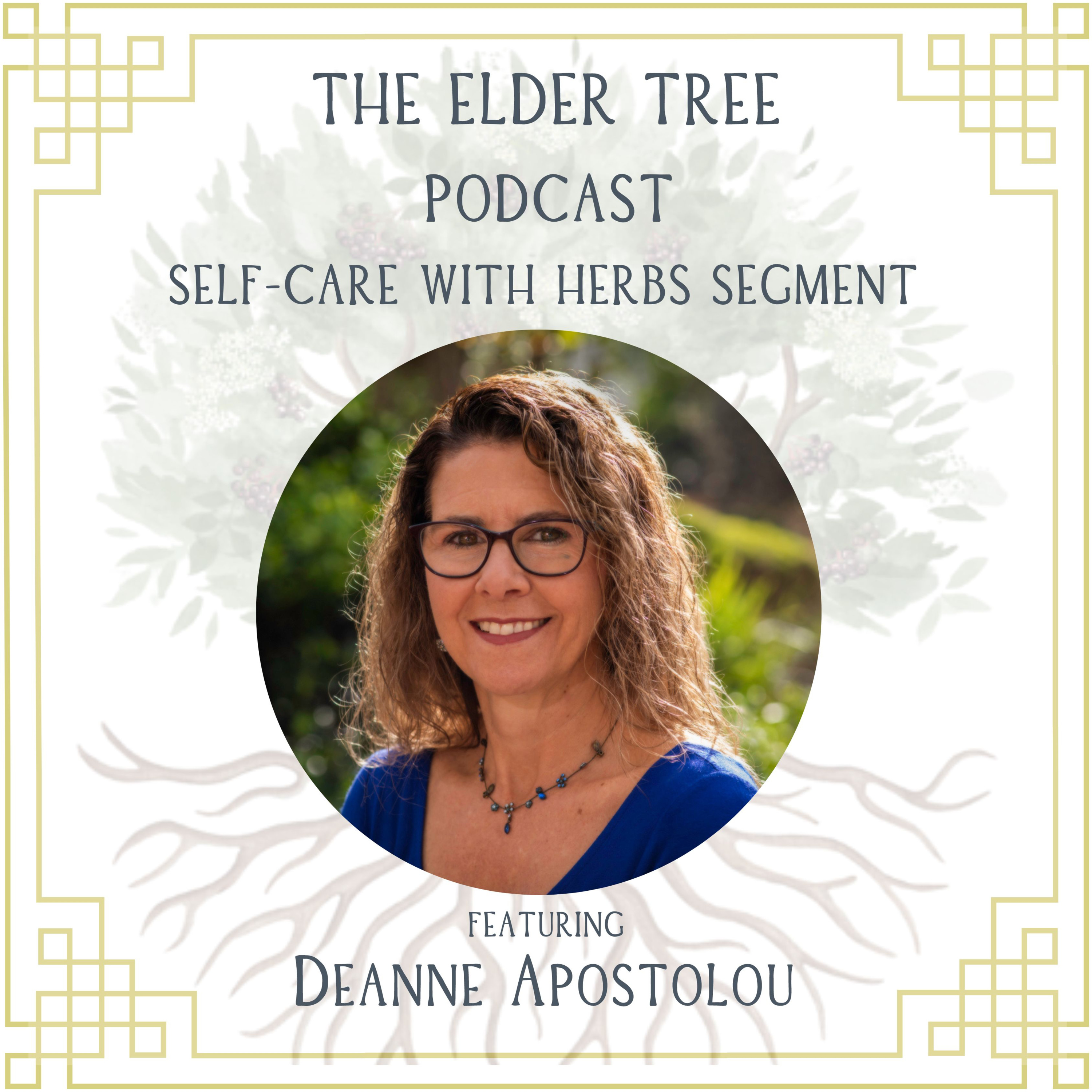 84. The Value of Letting Ourselves Surrender: Deanne Apostolou on Self Care with Herbs episode artwork