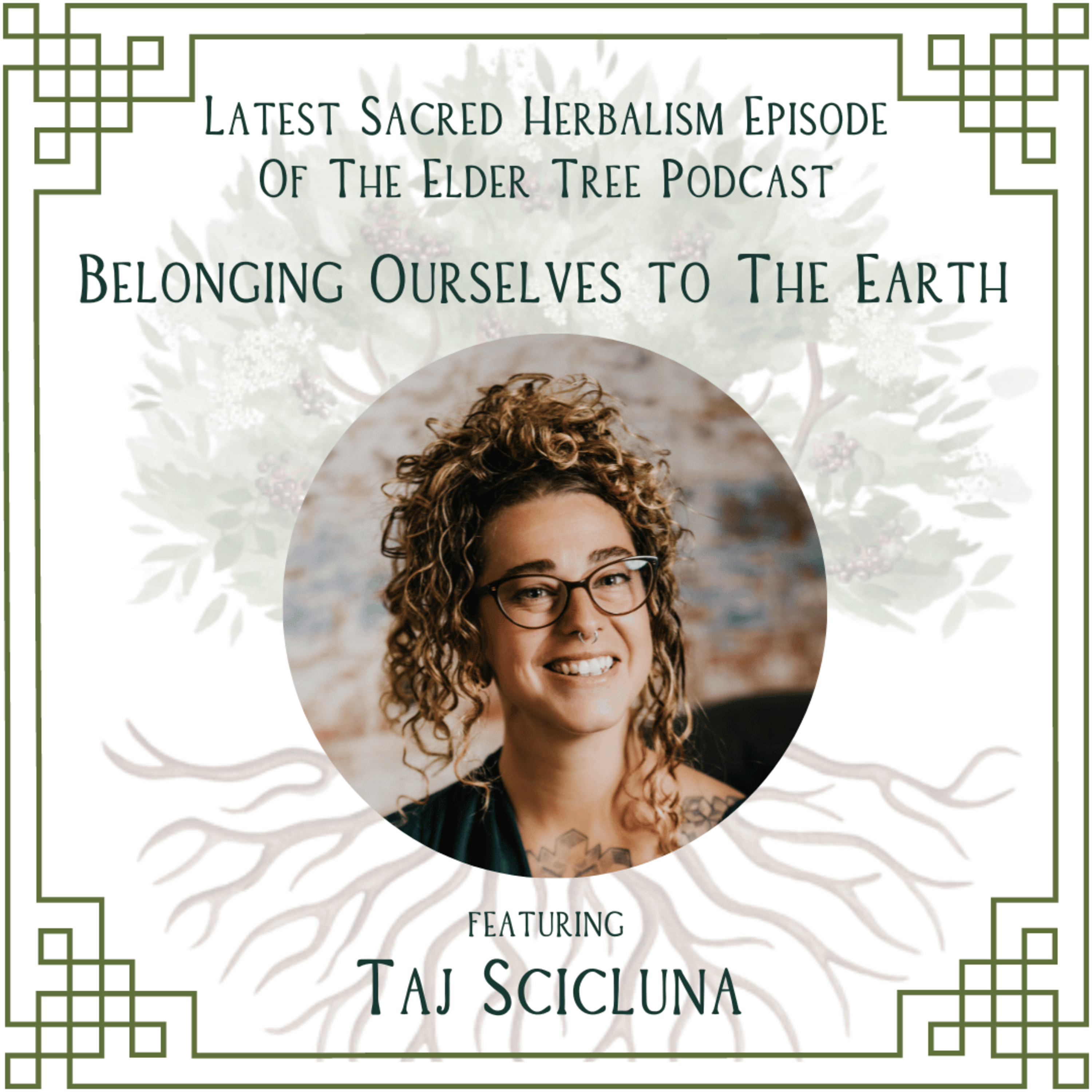 87. Belonging ourselves to the earth: Taj Scicluna on Sacred Herbalism episode artwork
