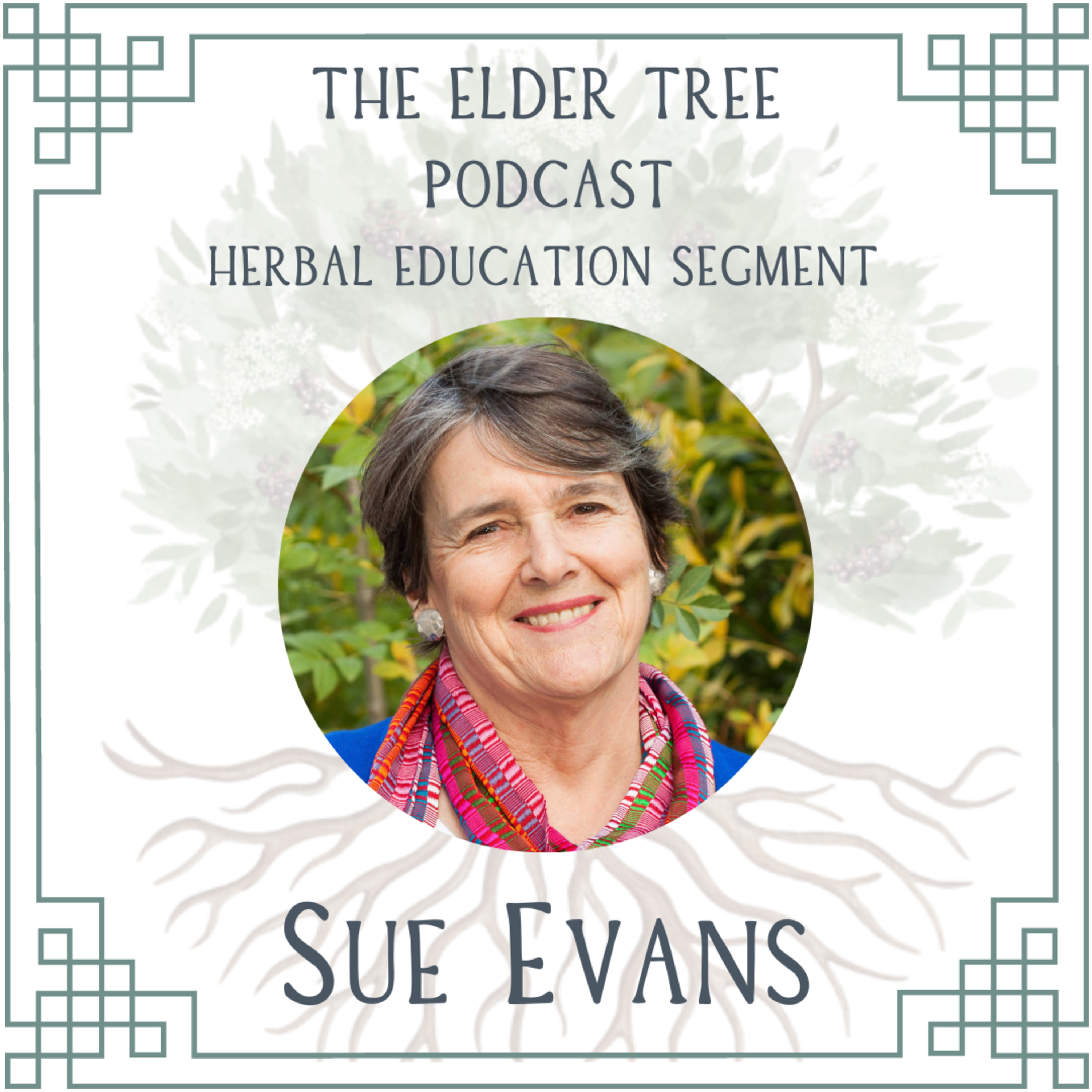 89. Herbal History Written in the Landscape: Sue Evans on Herbal Education episode artwork