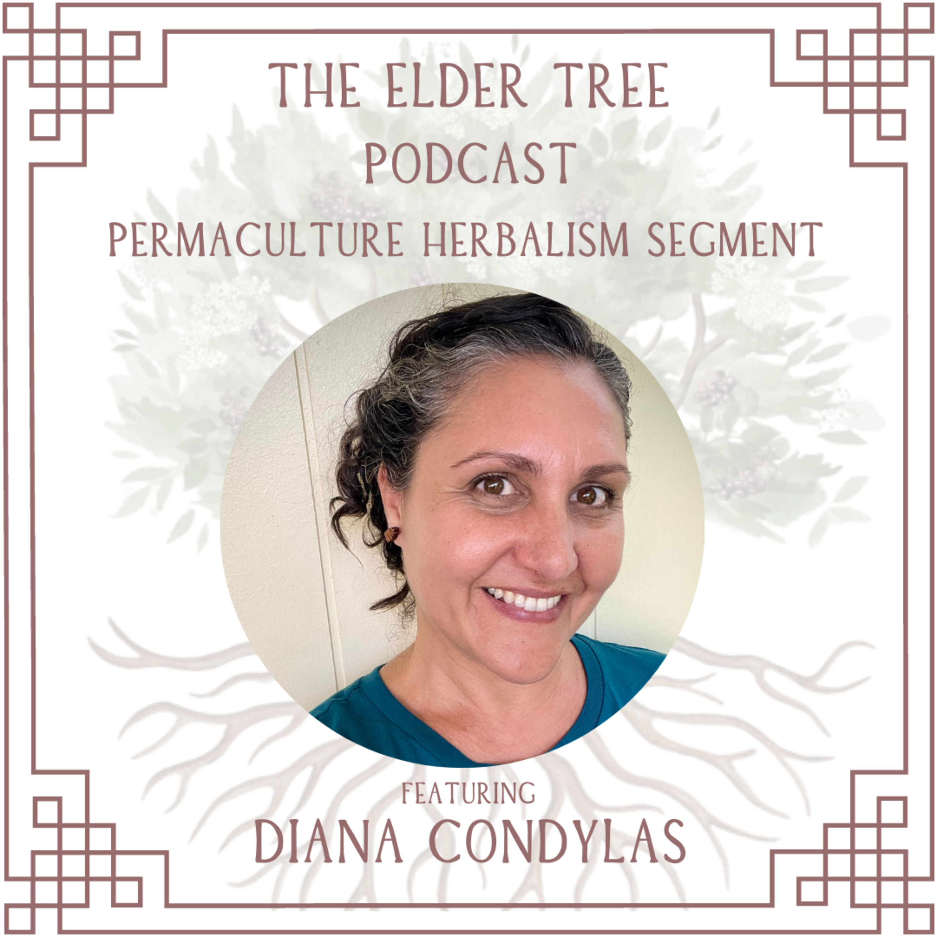 The Elder Tree Podcast