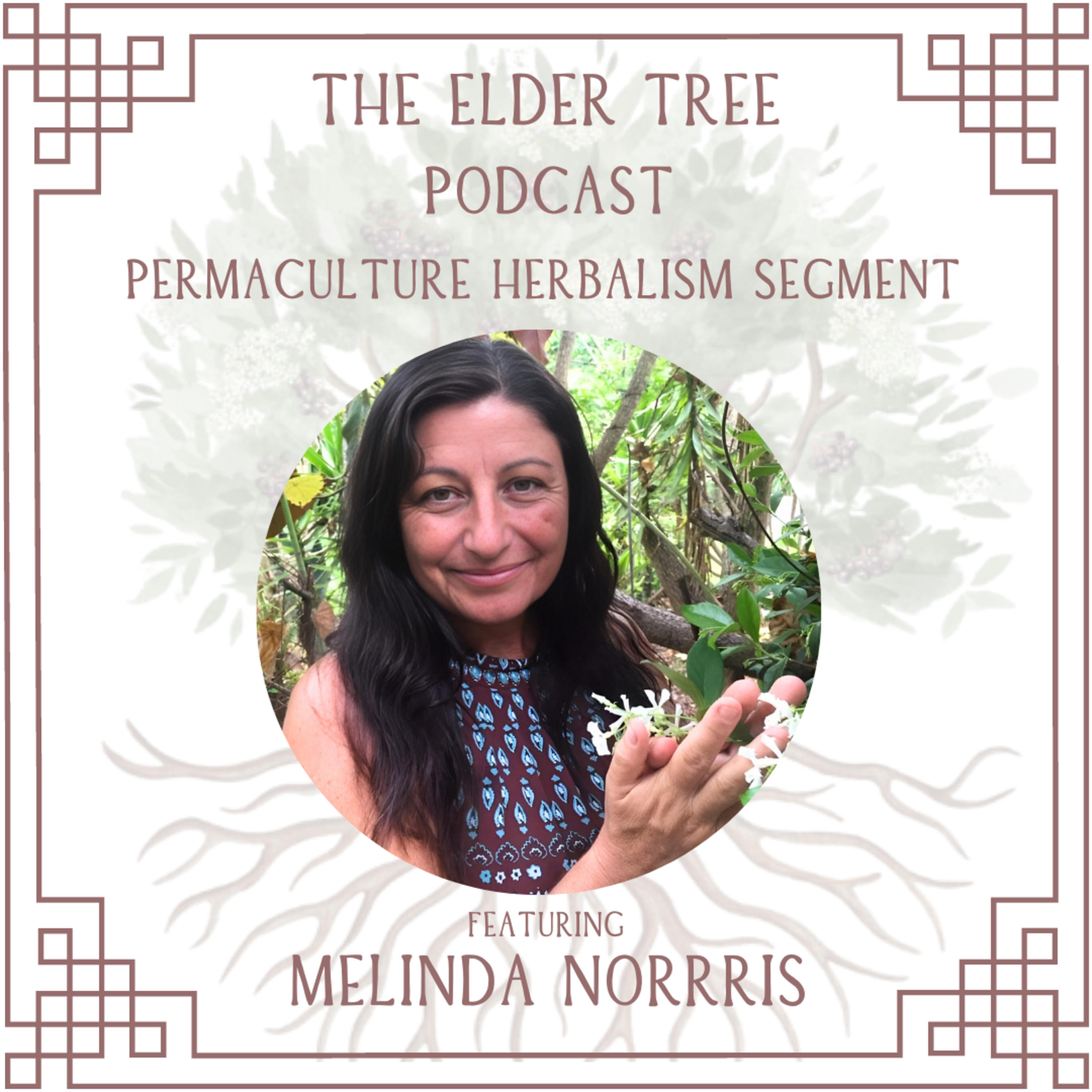 The Elder Tree Podcast