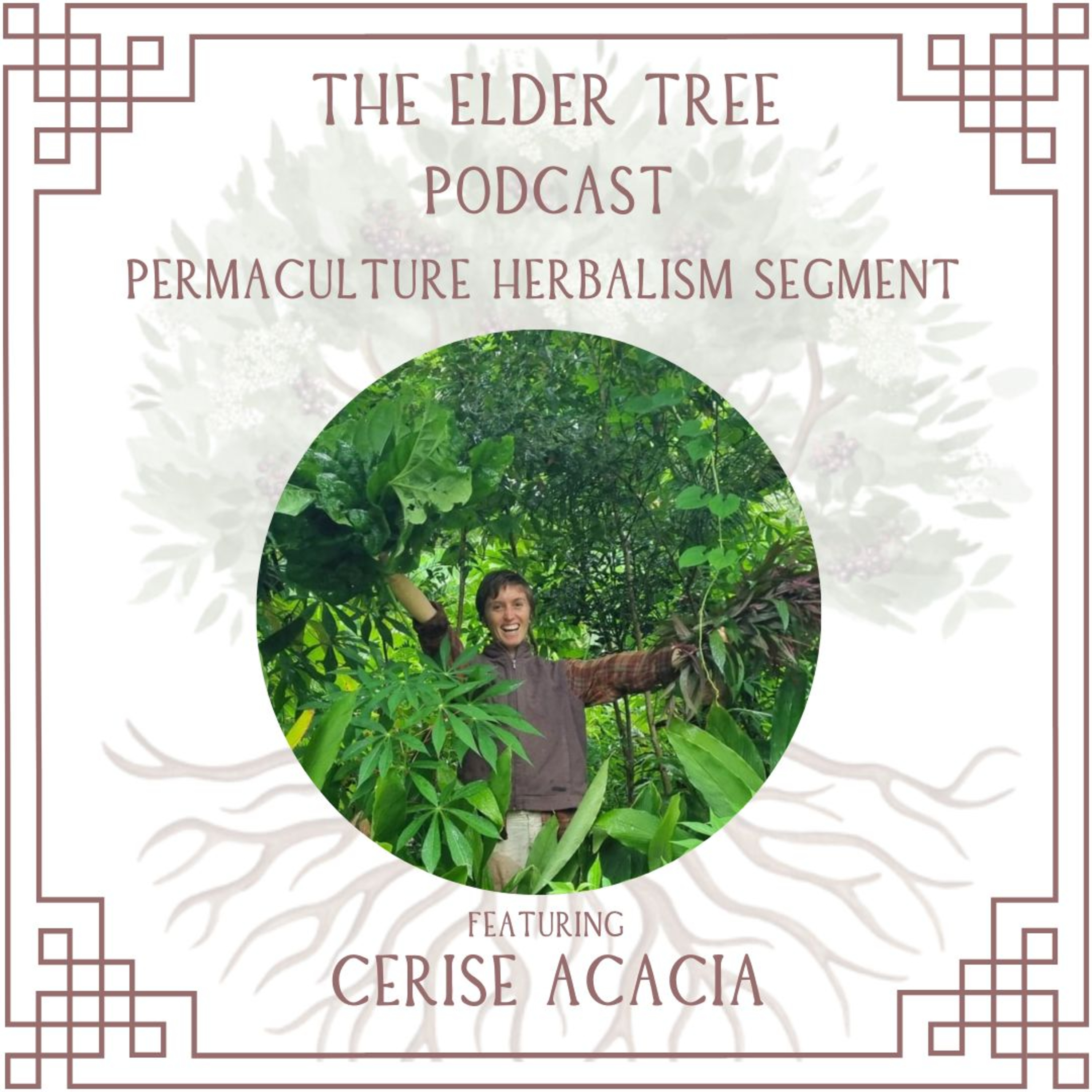 The Elder Tree Podcast
