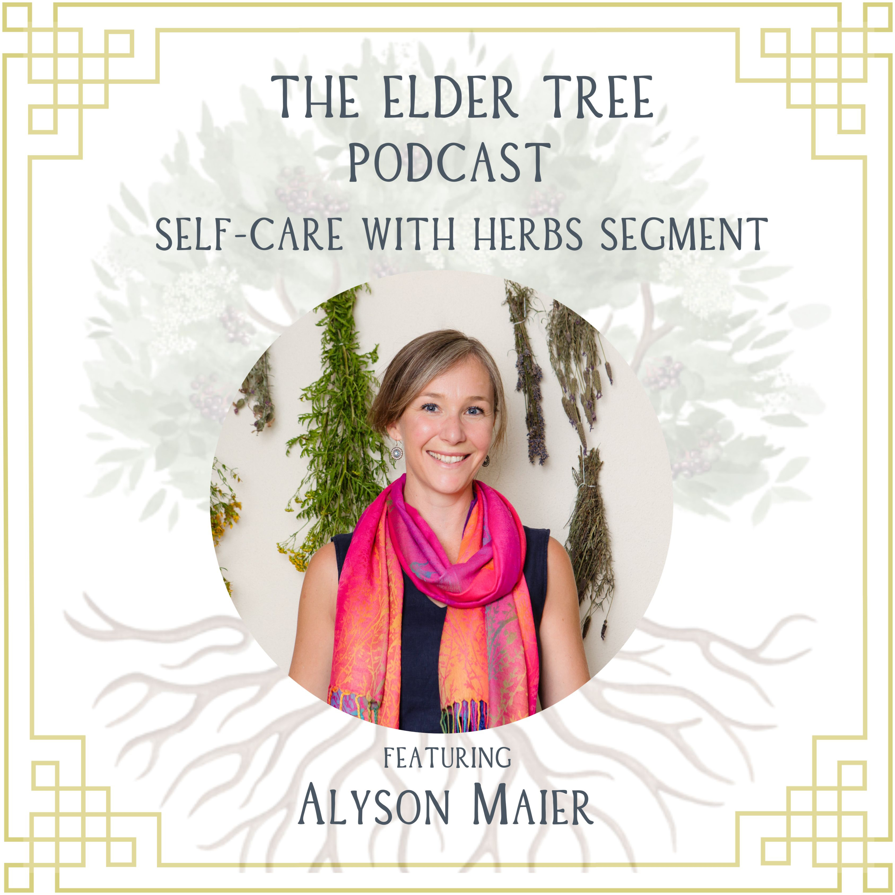 108. Our Inner Child Holds Wisdom and Guidance: Alyson Maier on Self Care with Herbs episode artwork