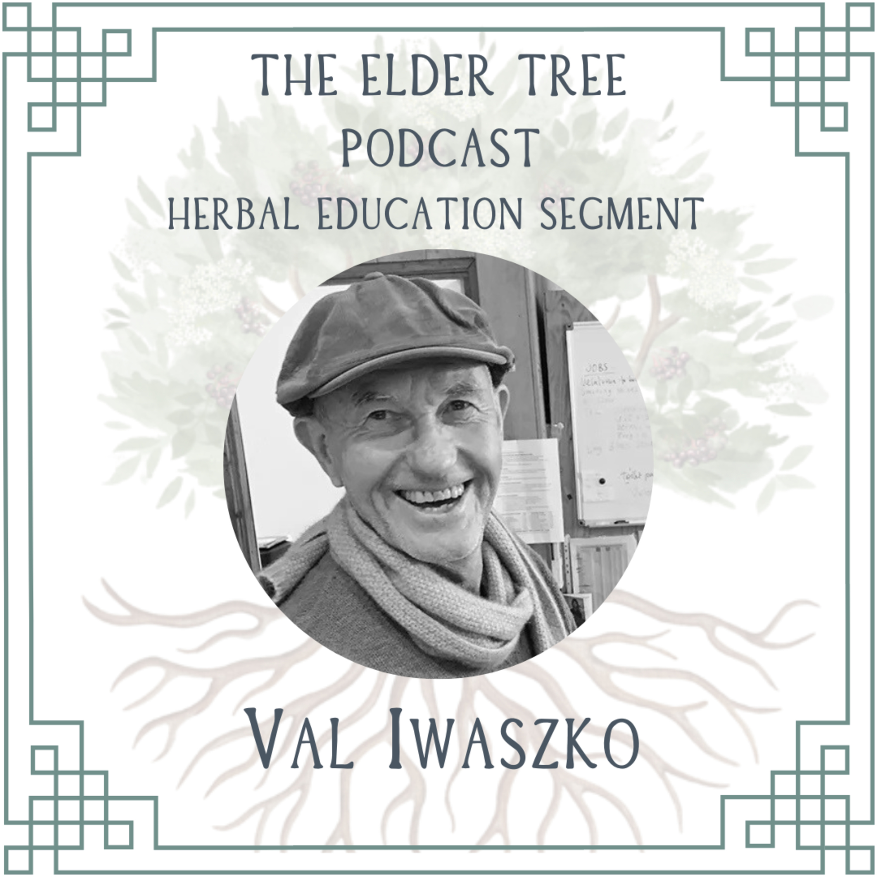 The Elder Tree Podcast