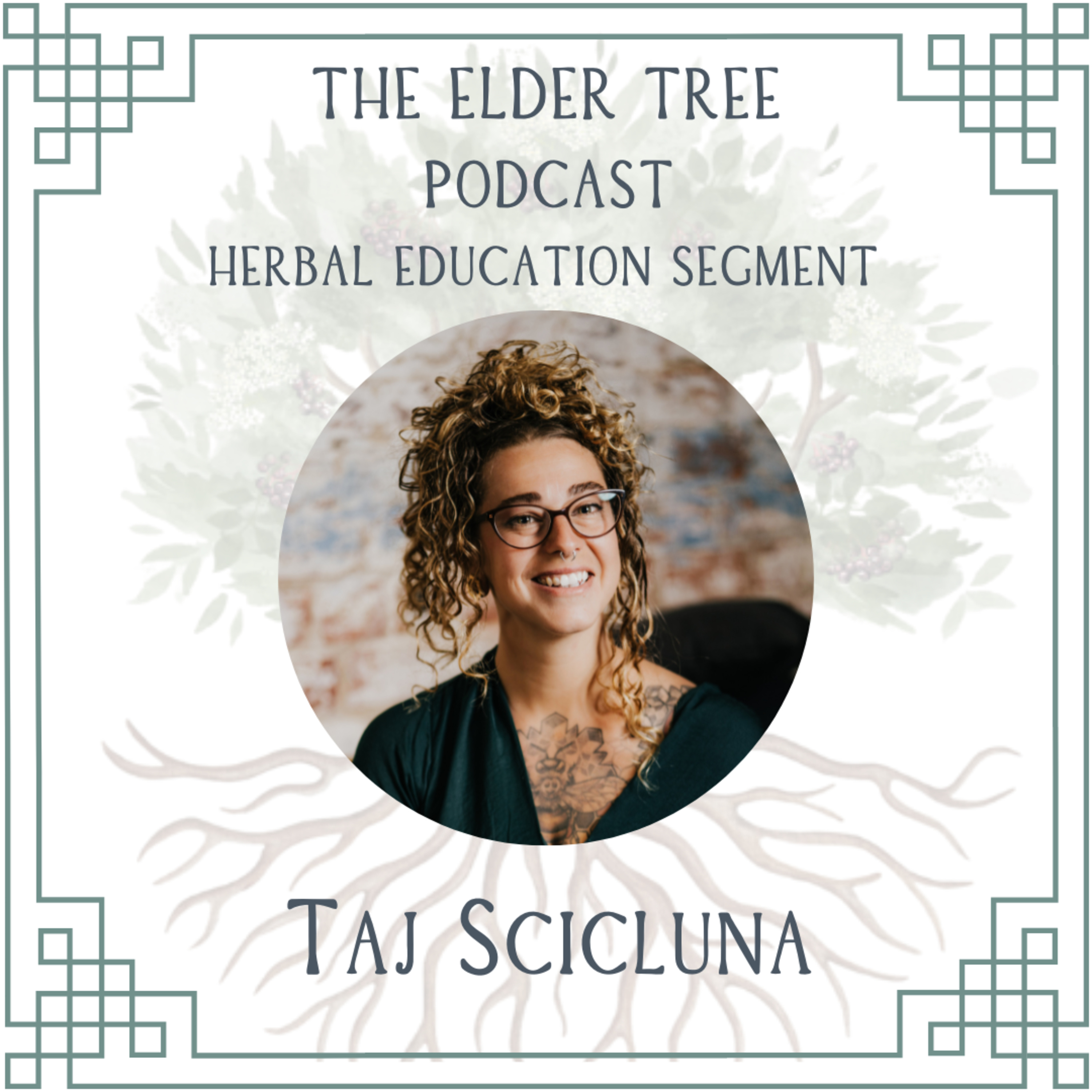 125. Curiosity, Critical thinking & Herbal Educator Responsibility: Taj Scicluna on Herbal Education