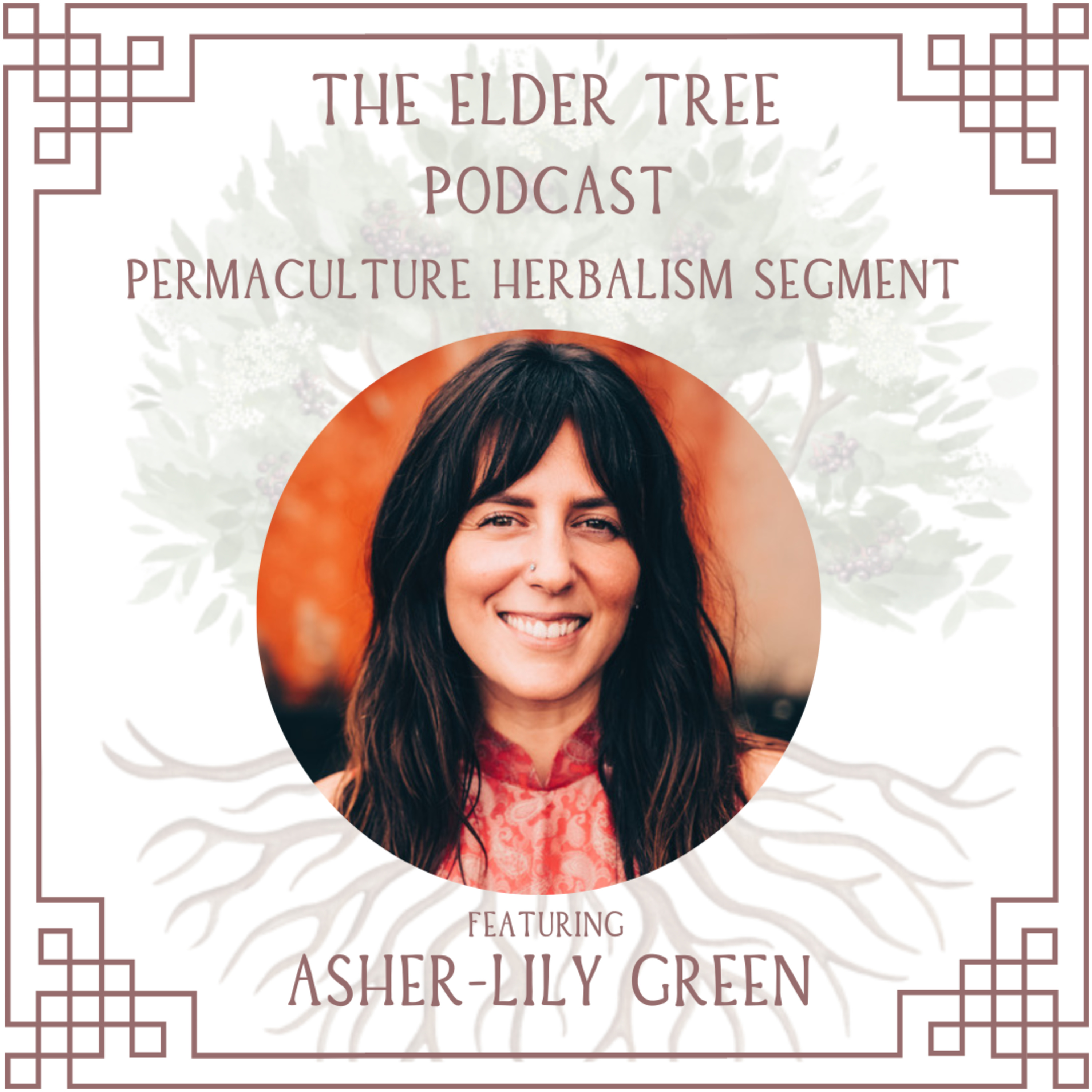 134. Conscious Conception & Pregnancy with Ayurveda: Asher-Lily Green on Permaculture Herbalism