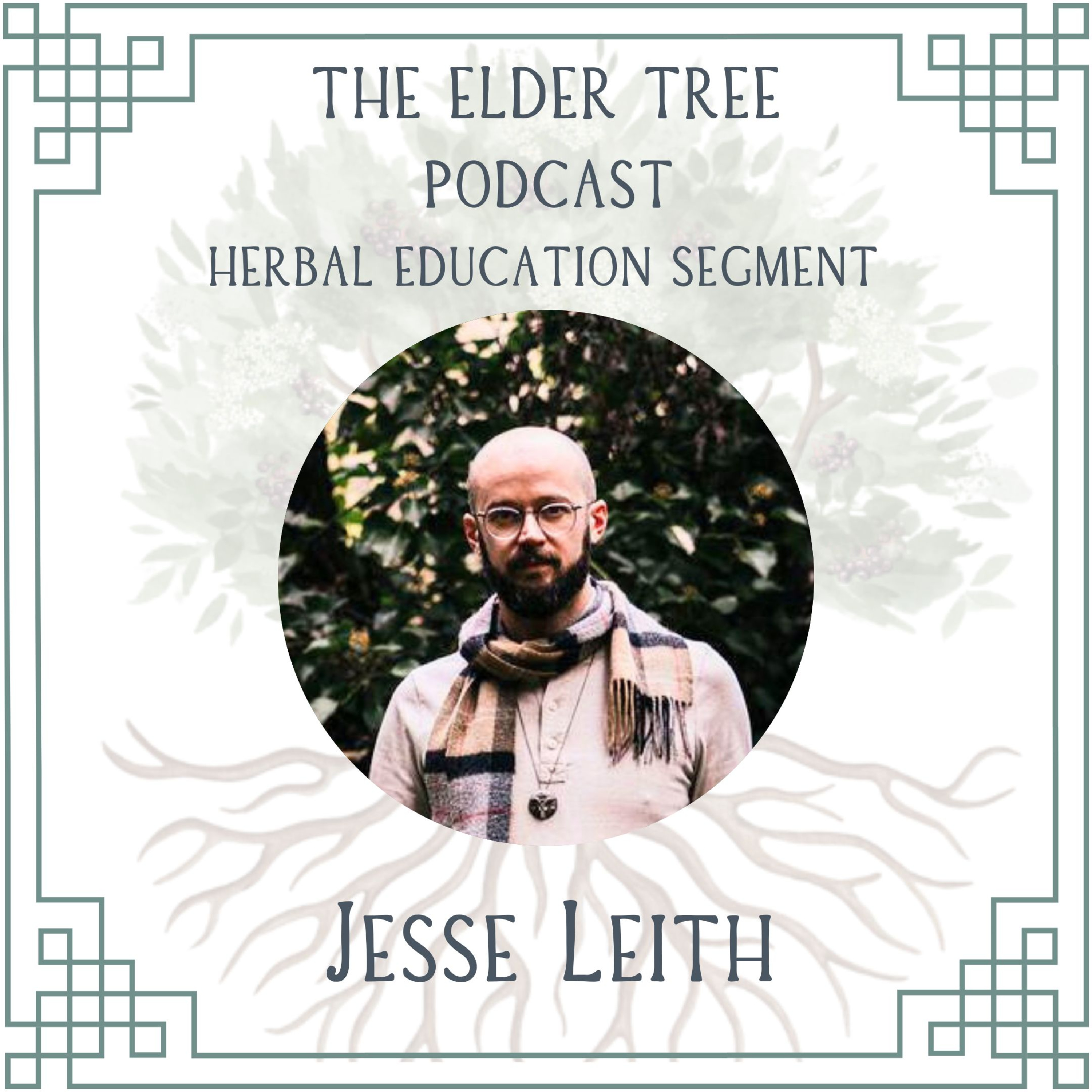 141. Spagyrics, Anthroposophy and Exciting Changes for Enki: Jesse Leith on Herbal Education