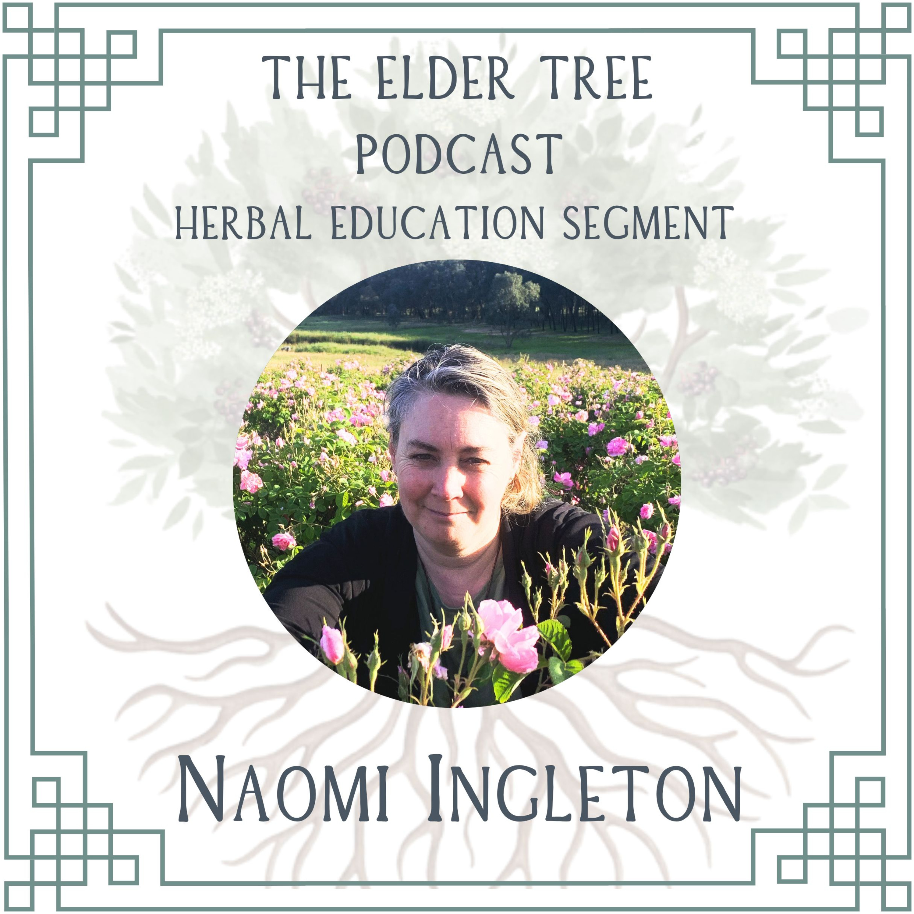 145. Launch of Herb Connect! And Preparing for a Paradigm Shift: Naomi Ingleton on Herbal Education
