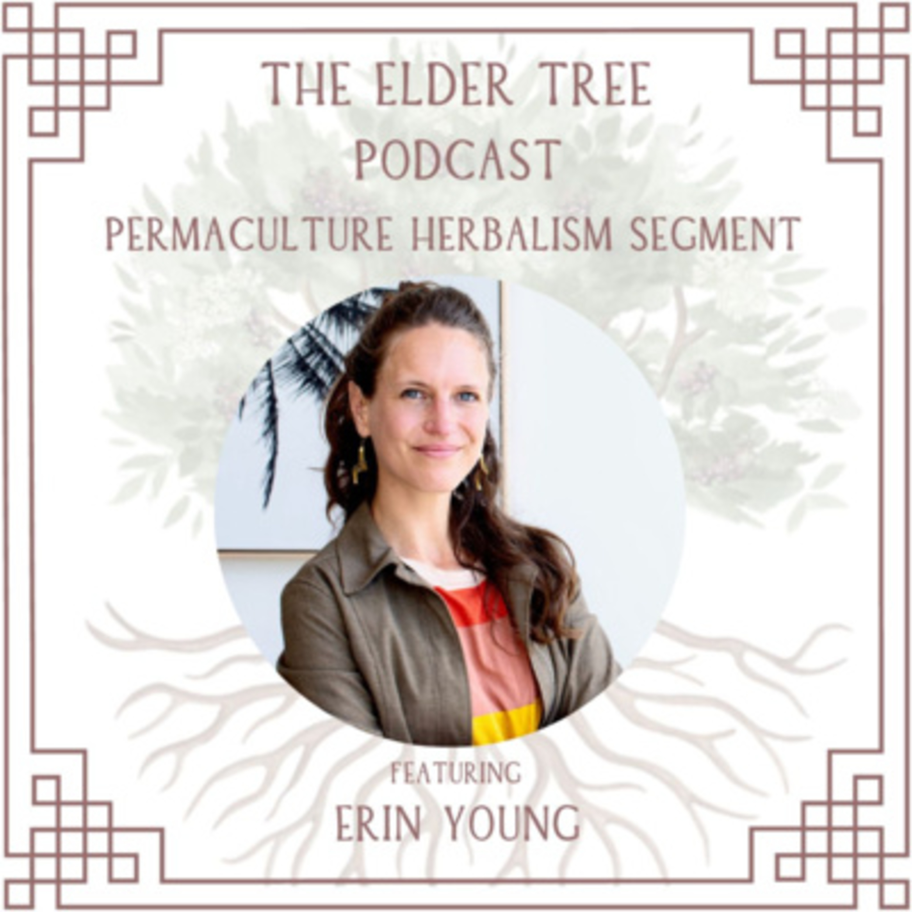 165. Re-Release: Sustainable Funerals, Sociocracy, and Balancing our Nervous Systems: Erin Young on Permaculture Herbalism