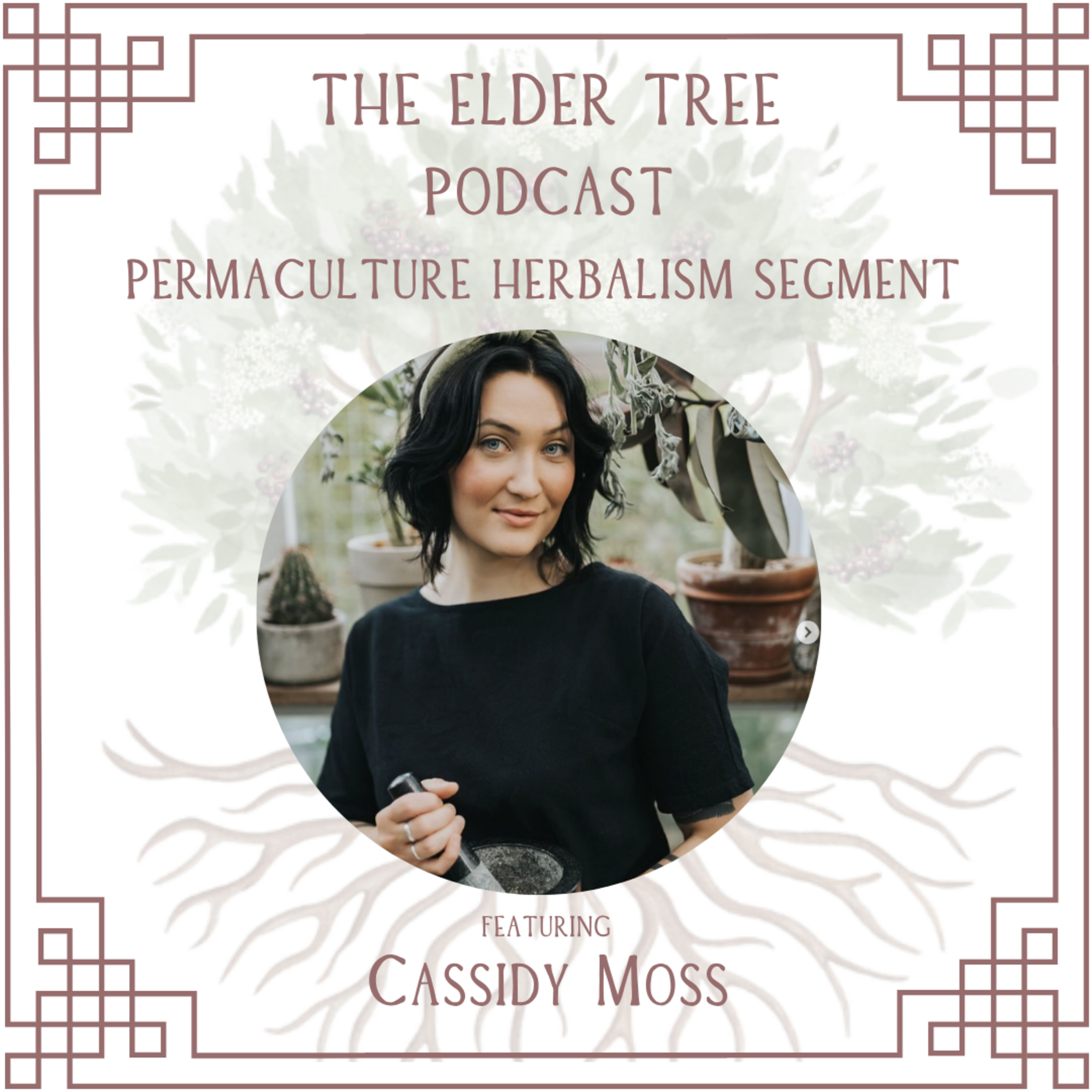 177. Cultivating Medicine: Ethics and Practice with Cassidy Moss - Permaculture Herbalism