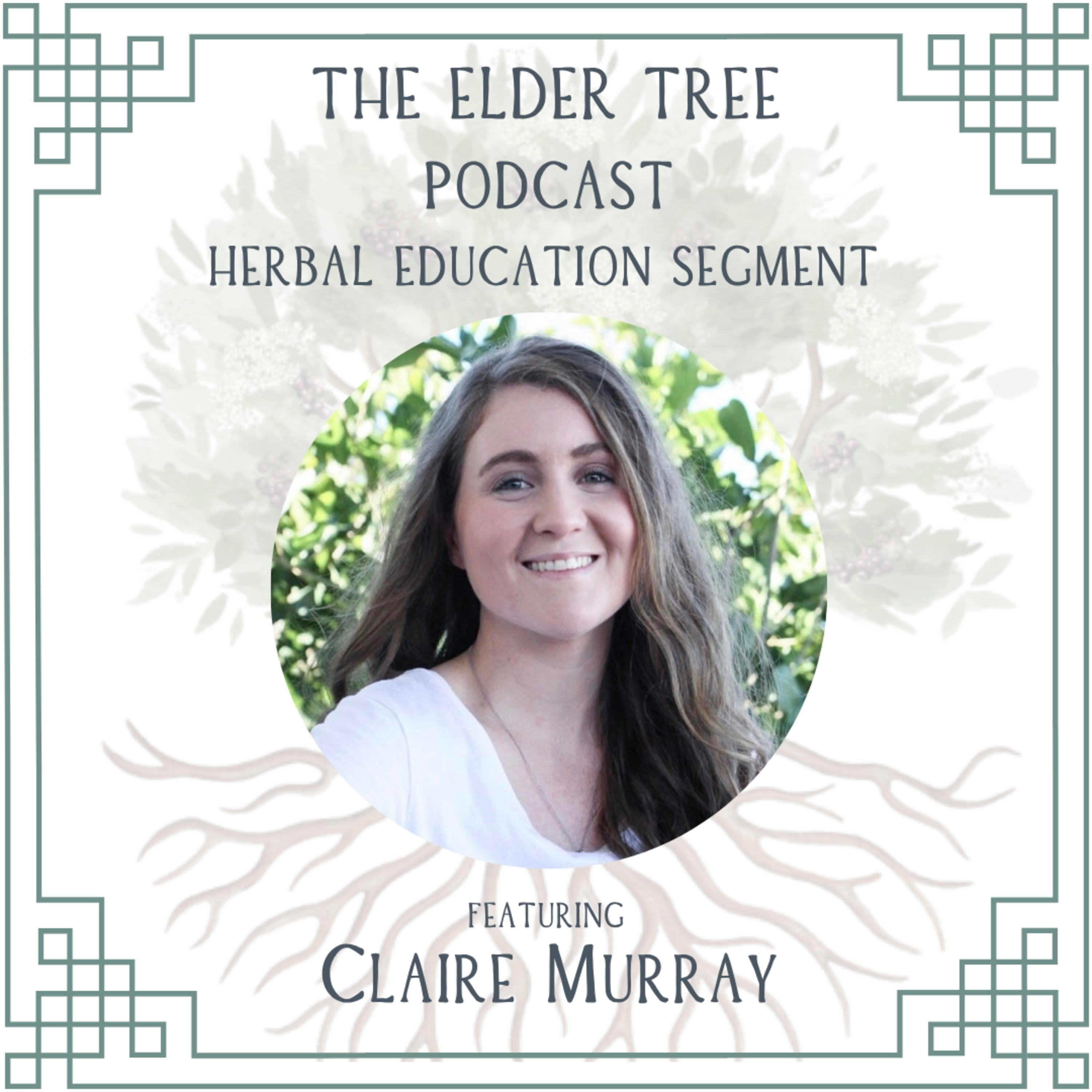 188: The Unhinged Teapot (and other medicine-making adventures)