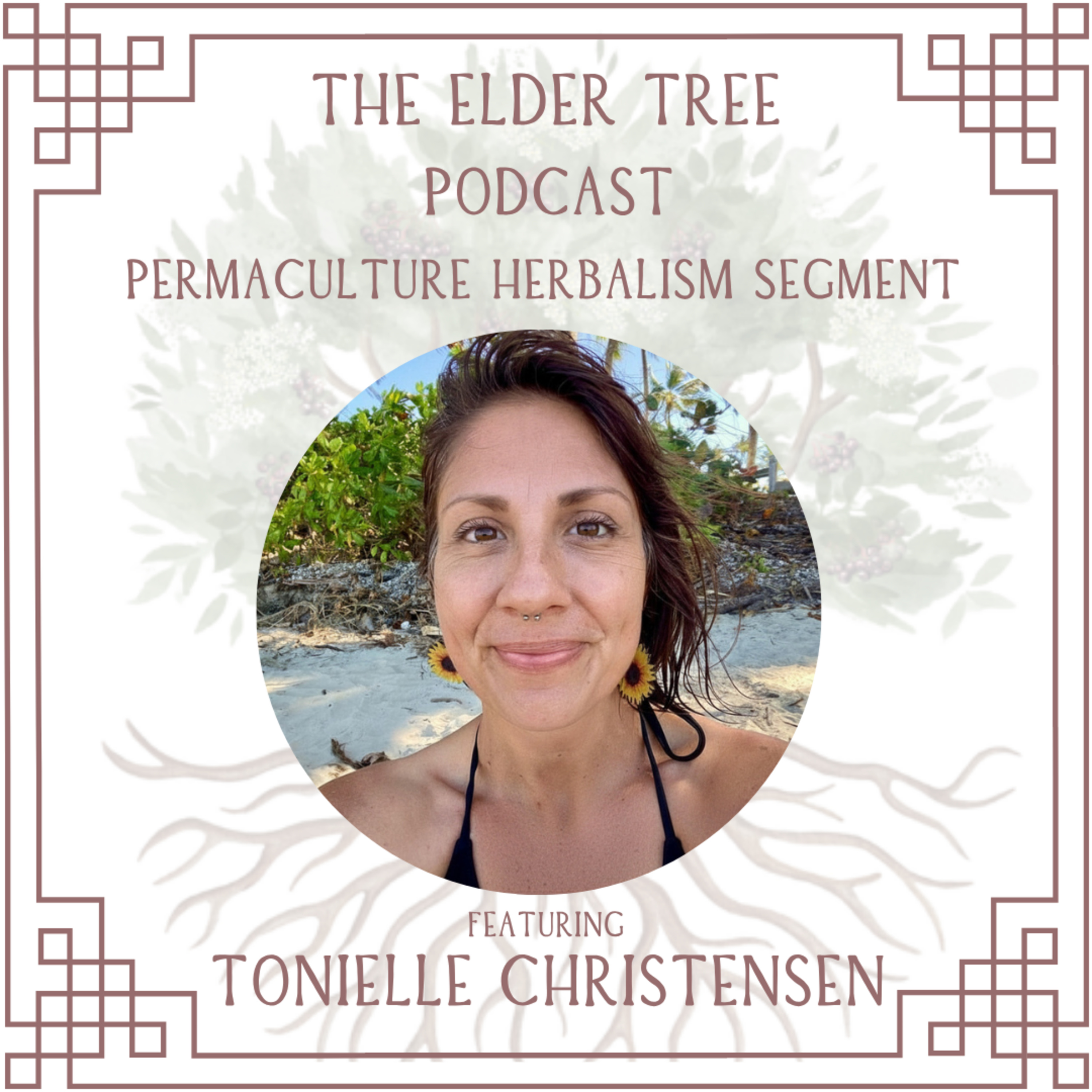 189. Three Essential Episodes to Revisit with Tonielle Christensen on Permaculture Herbalism