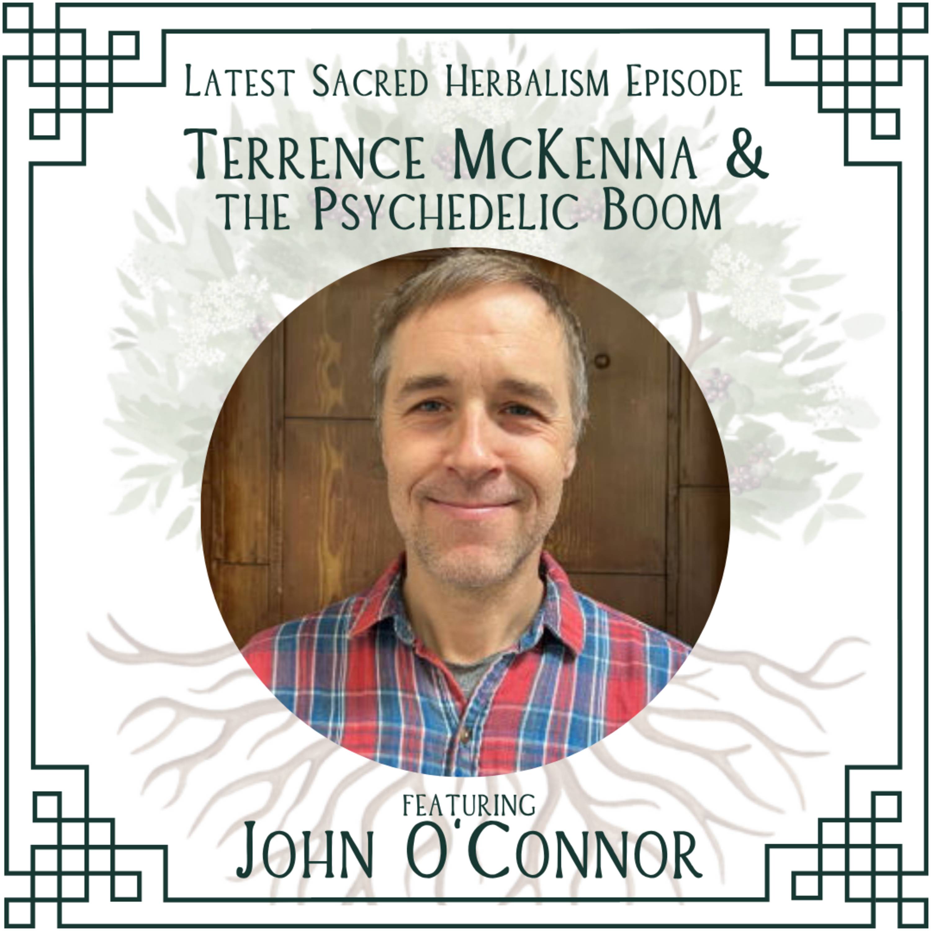 190. Terrence McKenna & The Psychedelic Boom: John O'Connor on Sacred Herbalism