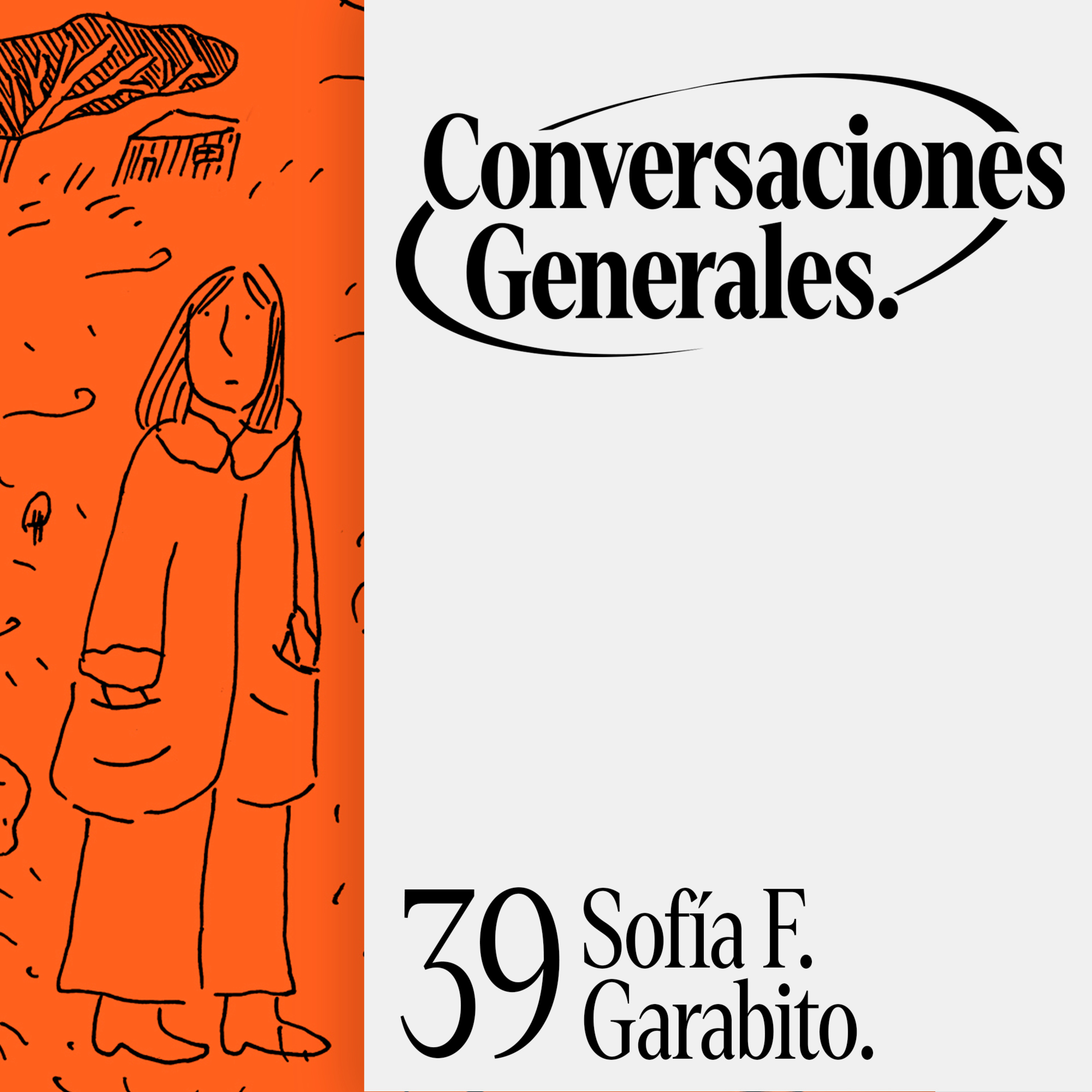 Explicaciones Generales