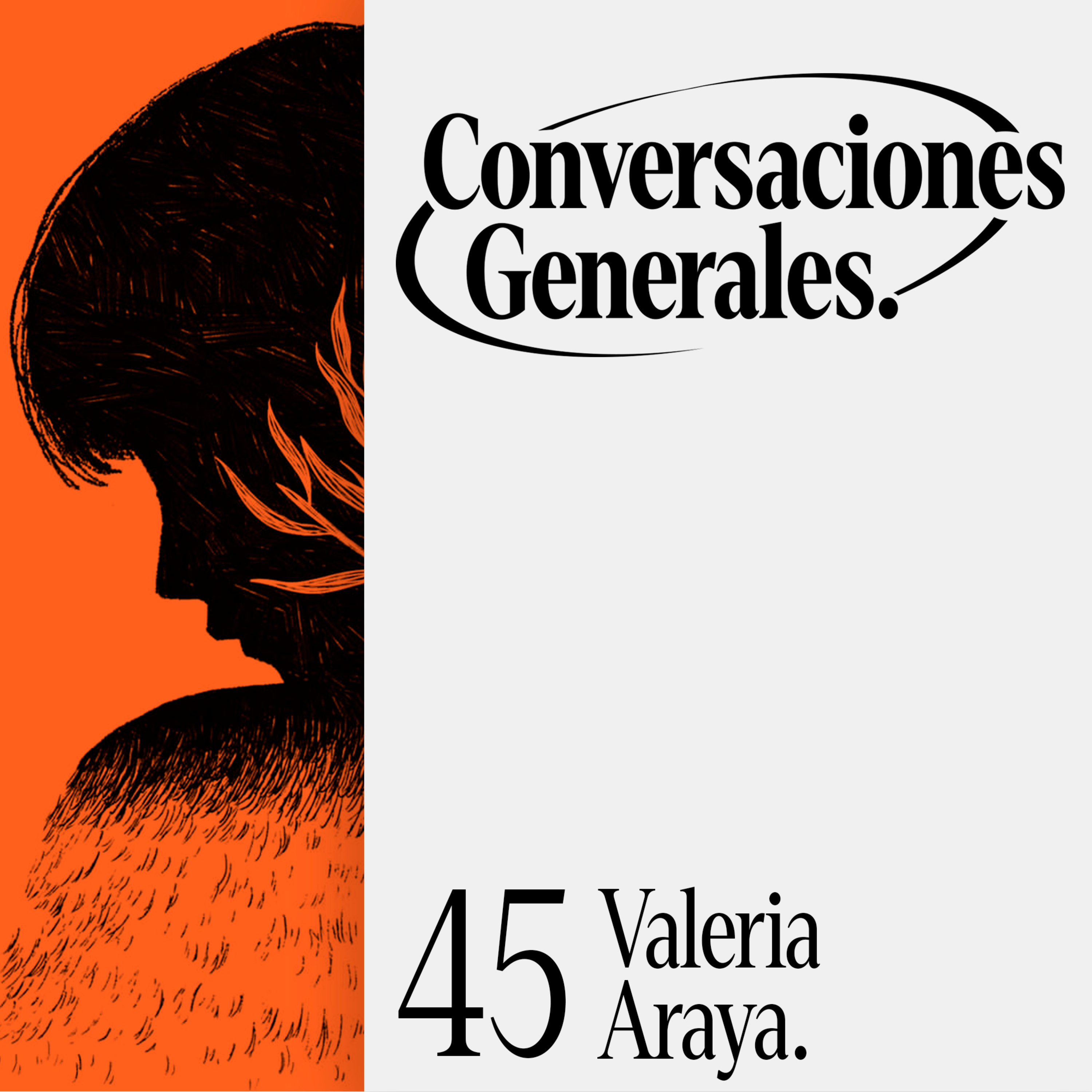 Explicaciones Generales