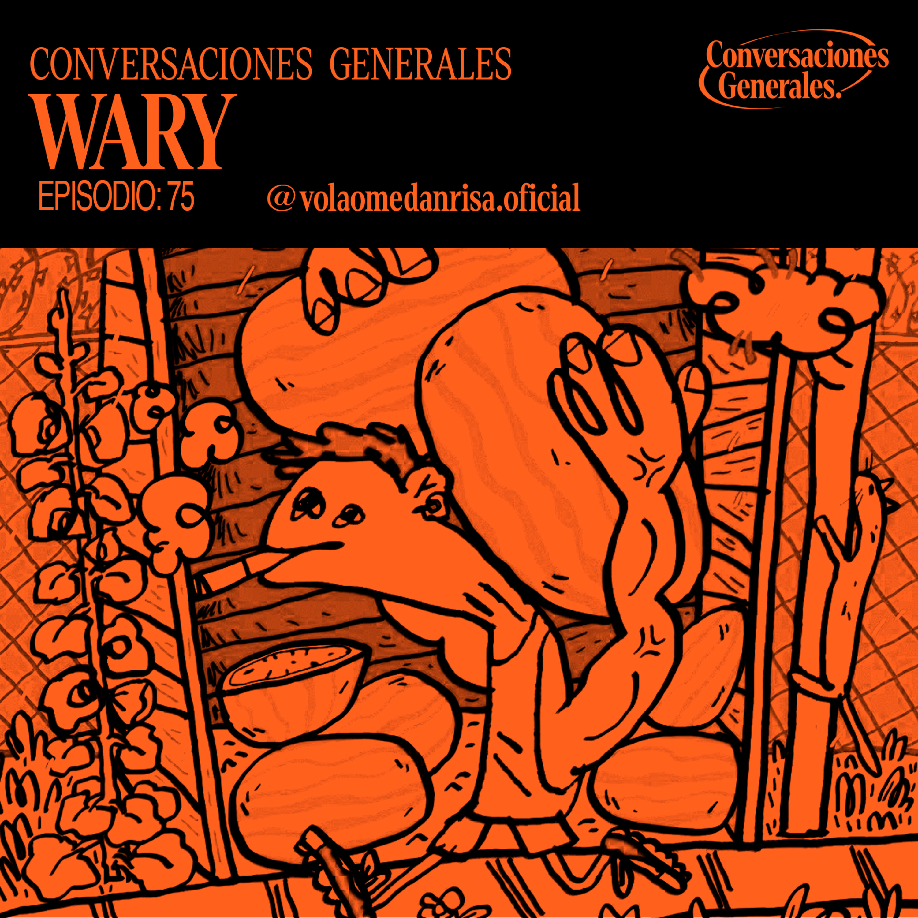 Explicaciones Generales