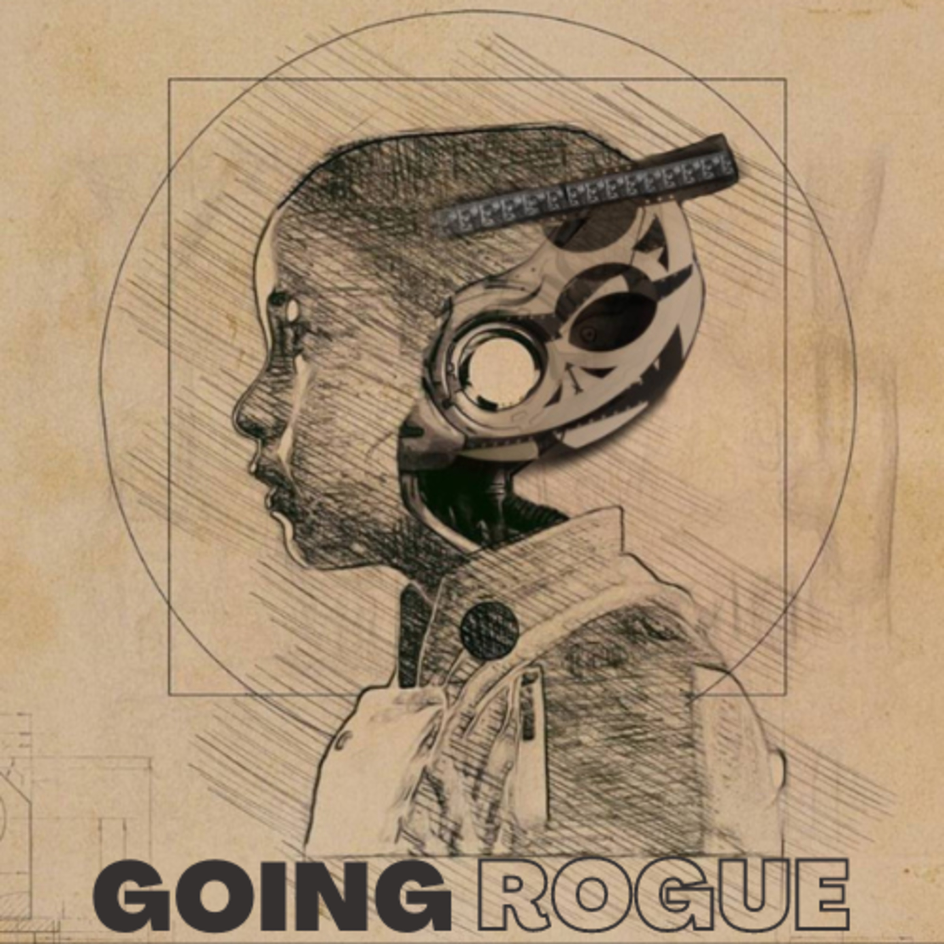 Going Rogue