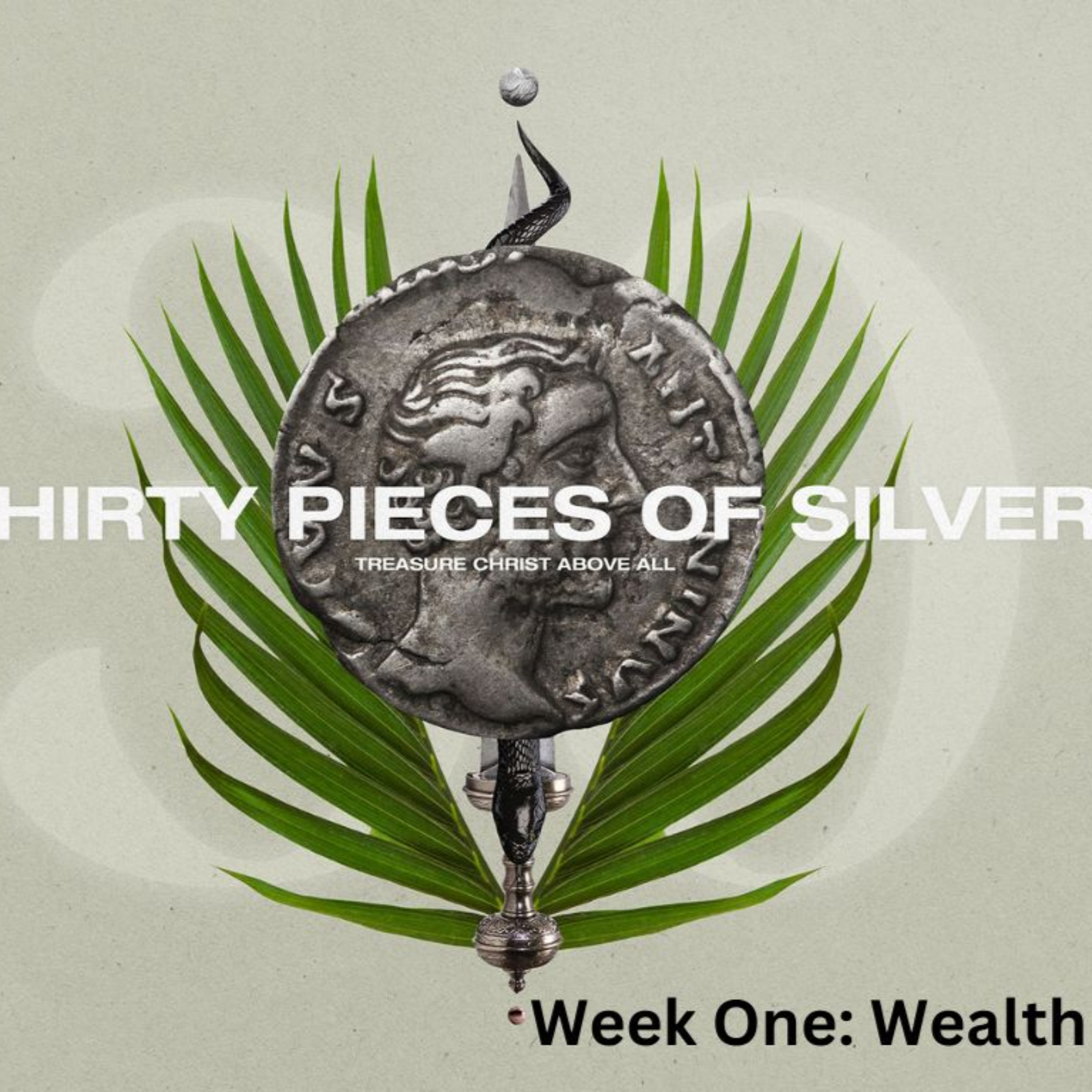 Thirty Pieces of Silver Series // Week One // Wealth