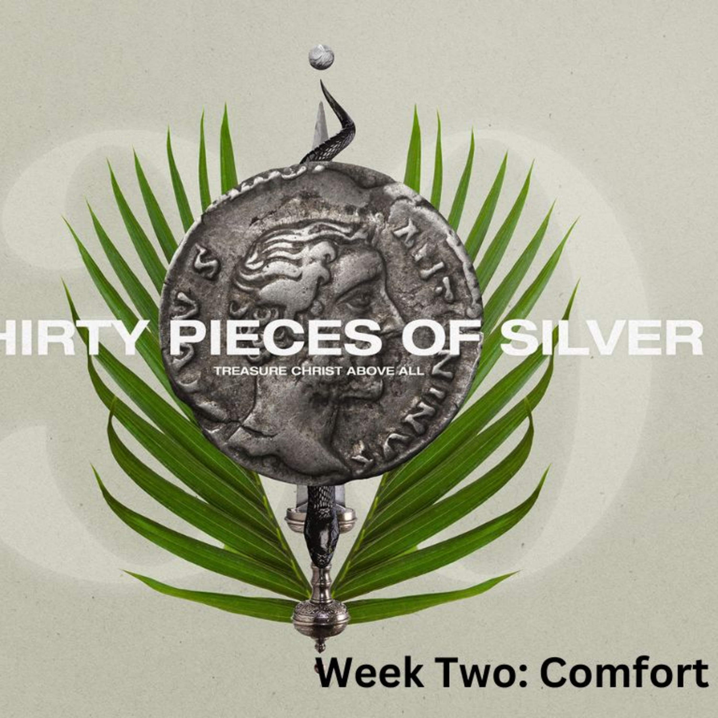 Thirty Pieces of Silver Series // Week Two // Comfort