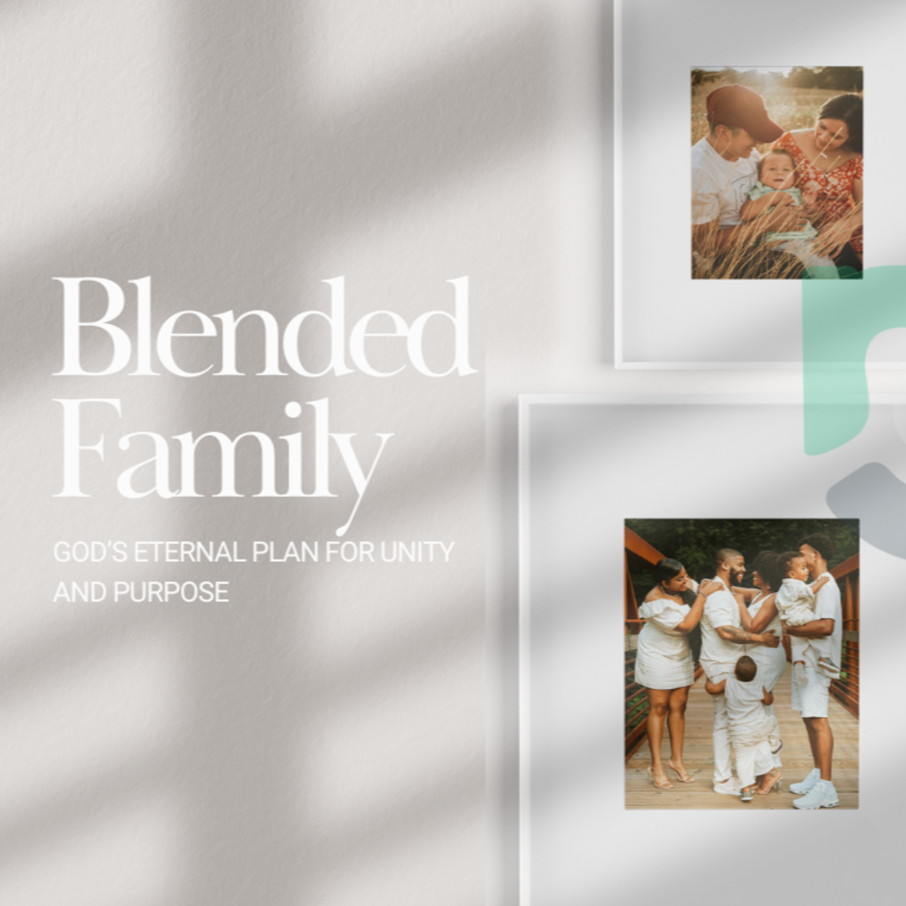 Blended Family