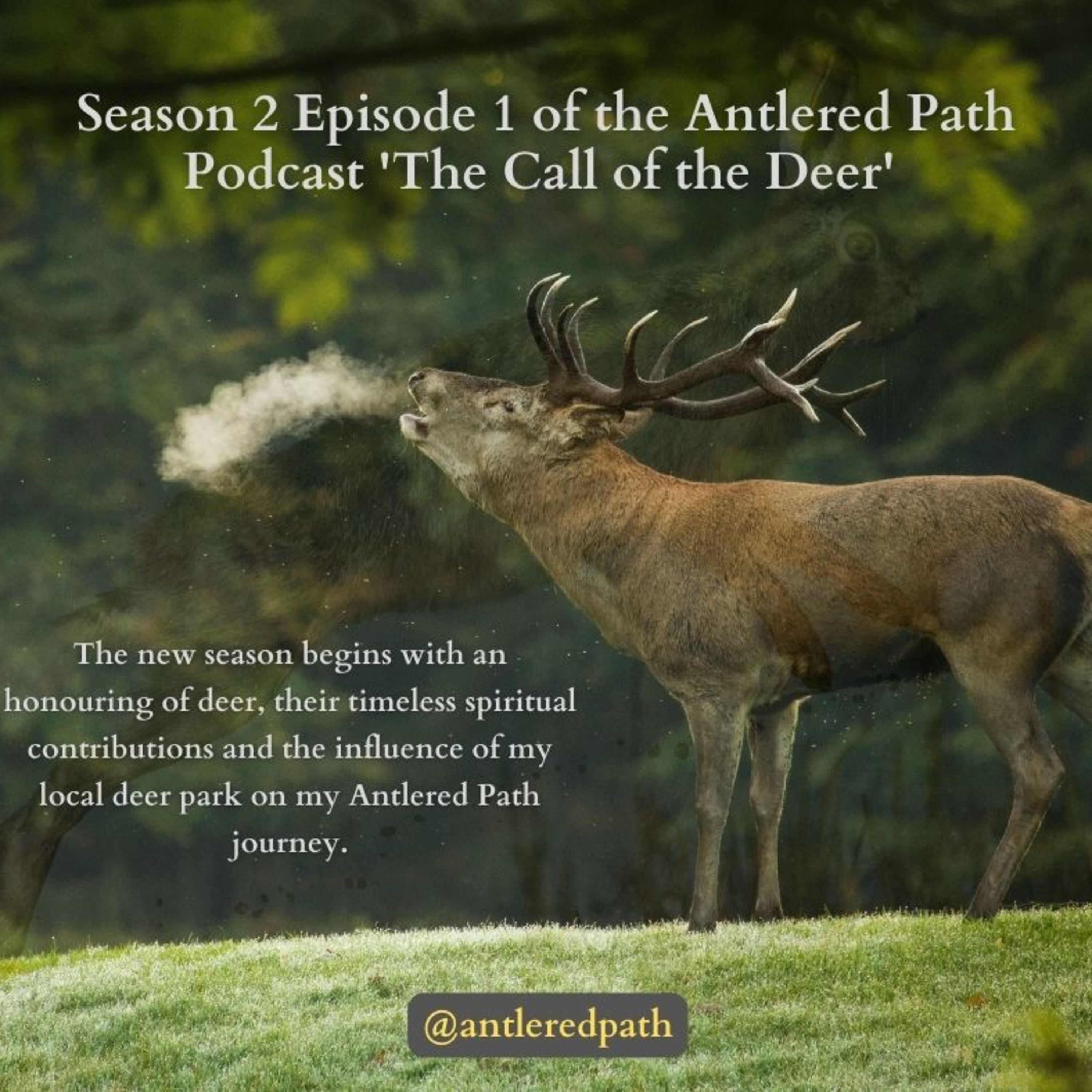 Antlered Path Podcast