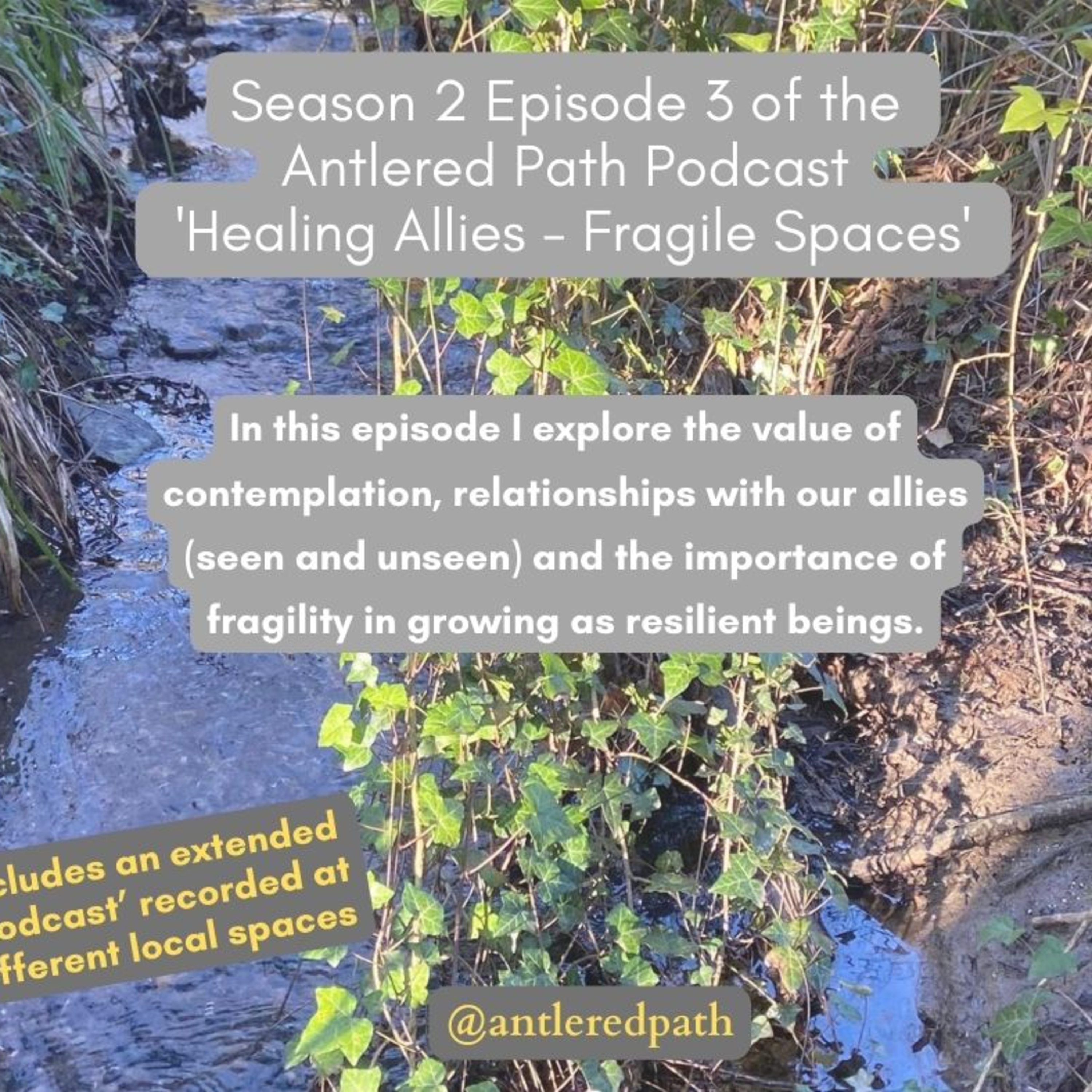 Season 2 - Episode 3. Healing allies - fragile spaces.