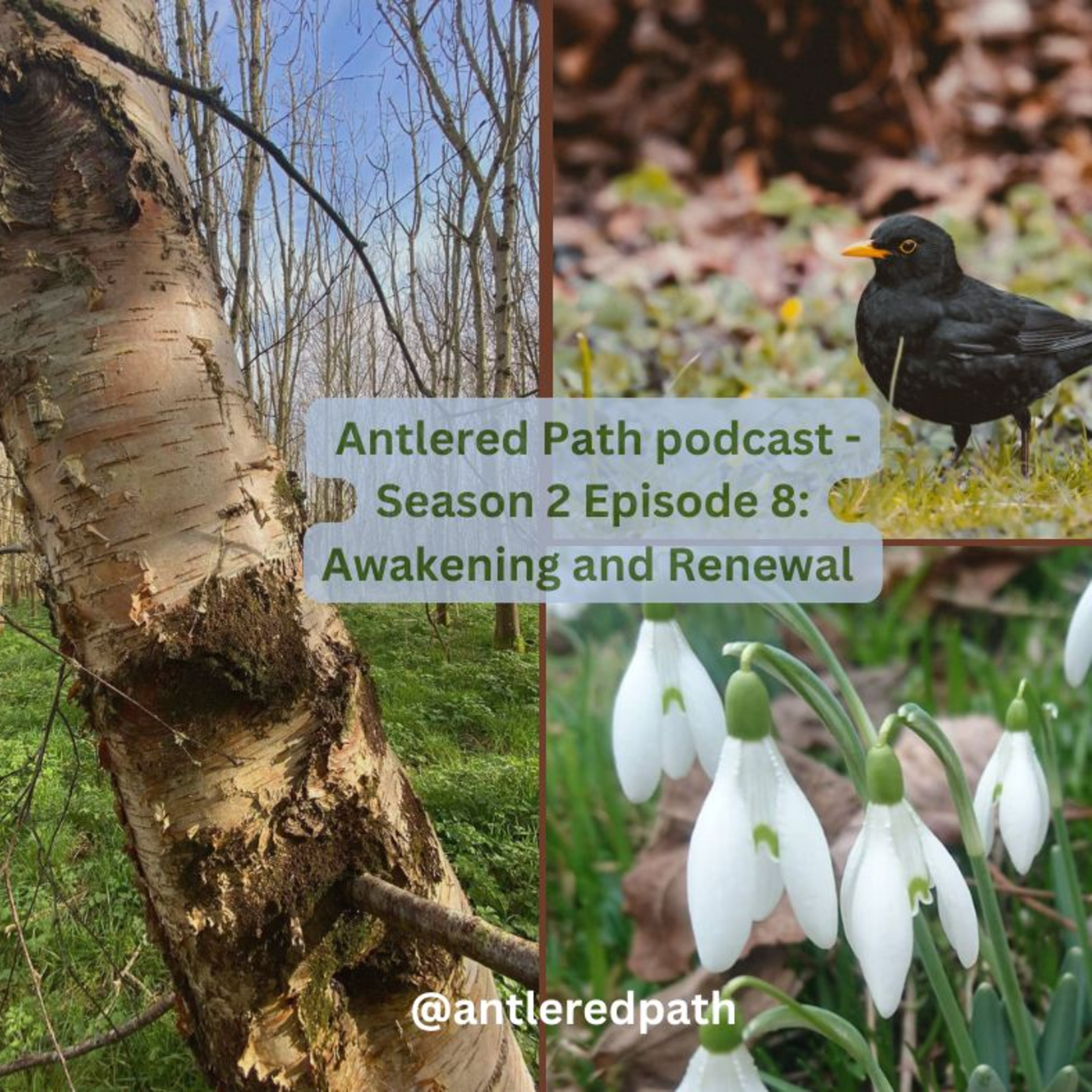 Antlered Path Podcast