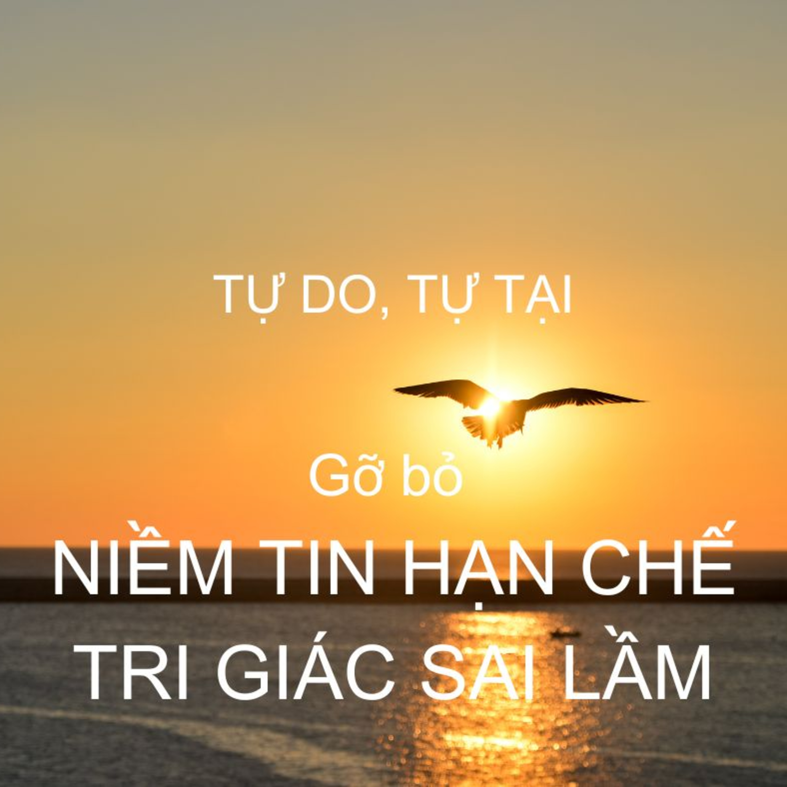 Gỡ bỏ niềm tin hạn chế, gỡ bỏ tiêu cực từ loại ra tri giác sai lầm! episode artwork