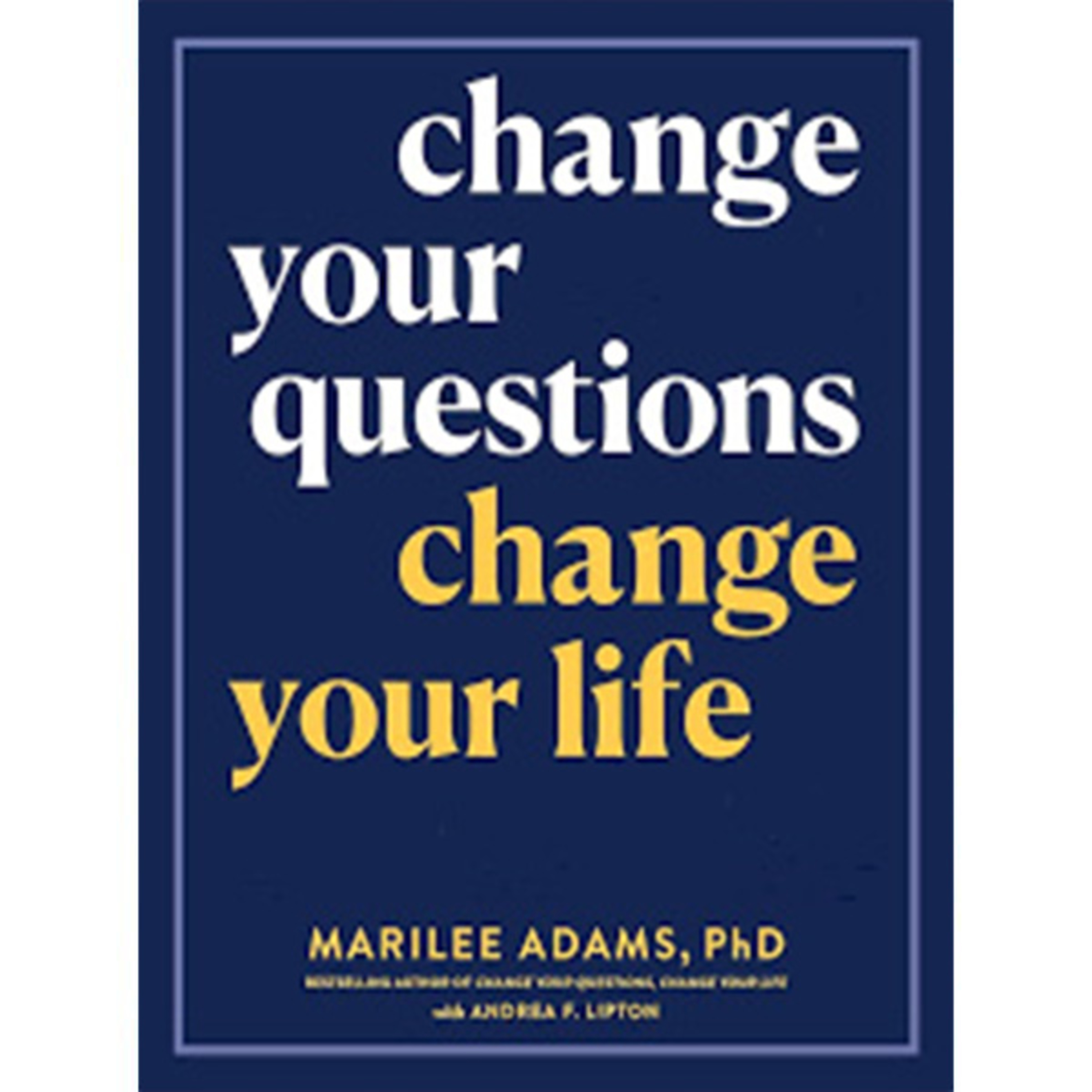 17 - Change Your Questions, Change Your Life episode artwork