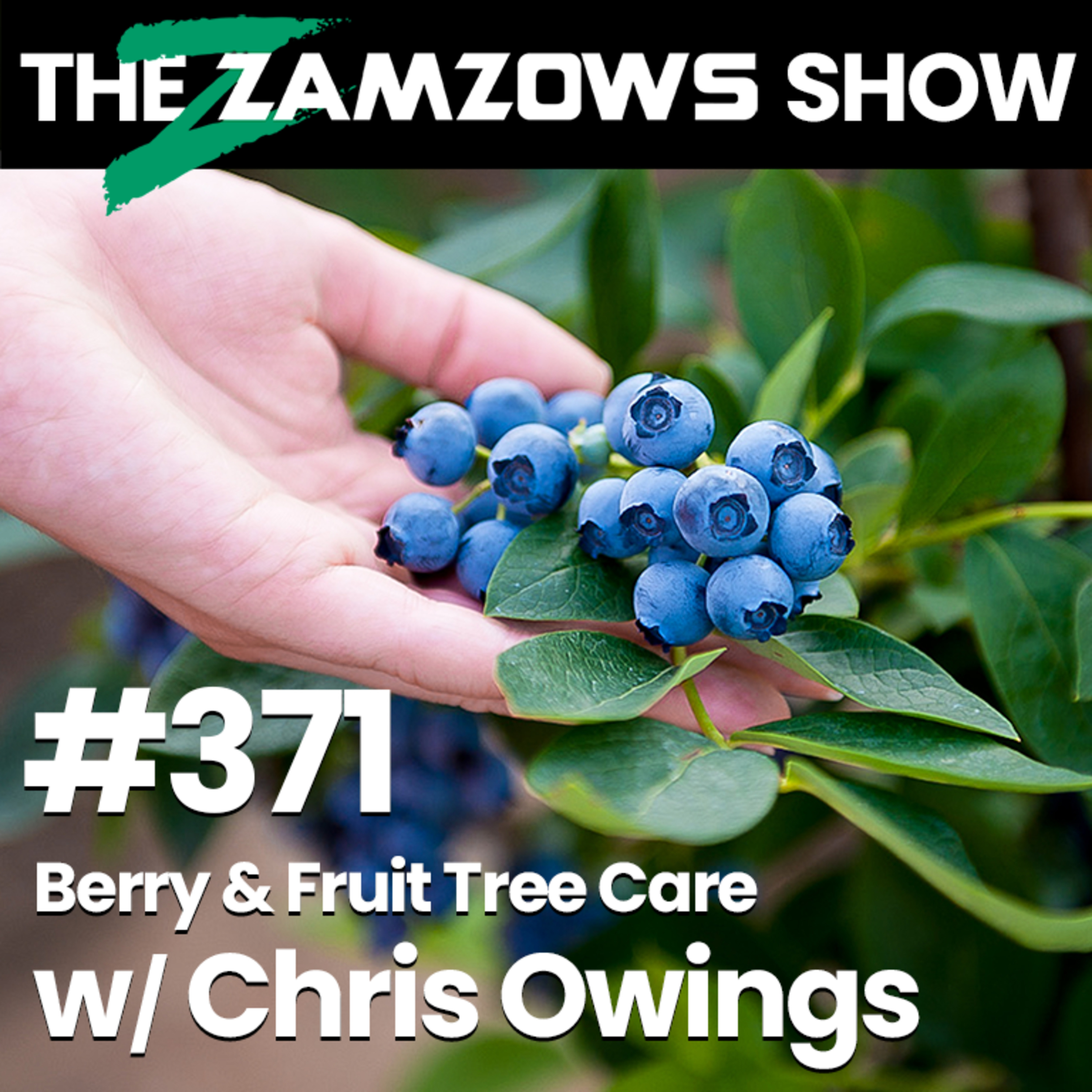 The Zamzows Show with Callie Zamzow