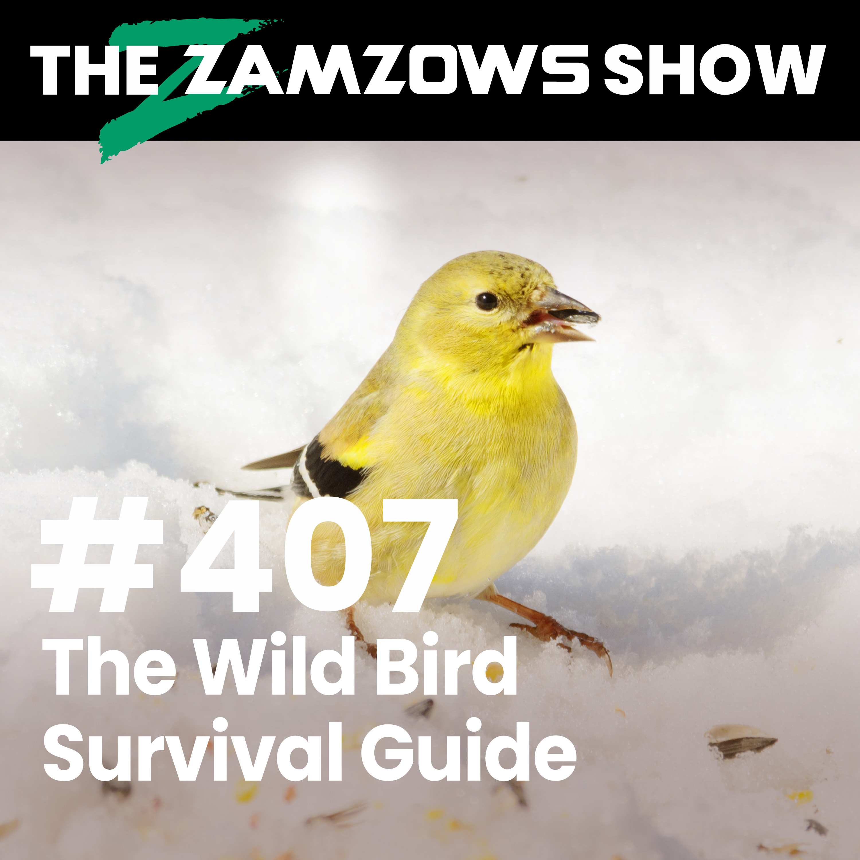 The Zamzows Show with Callie Zamzow