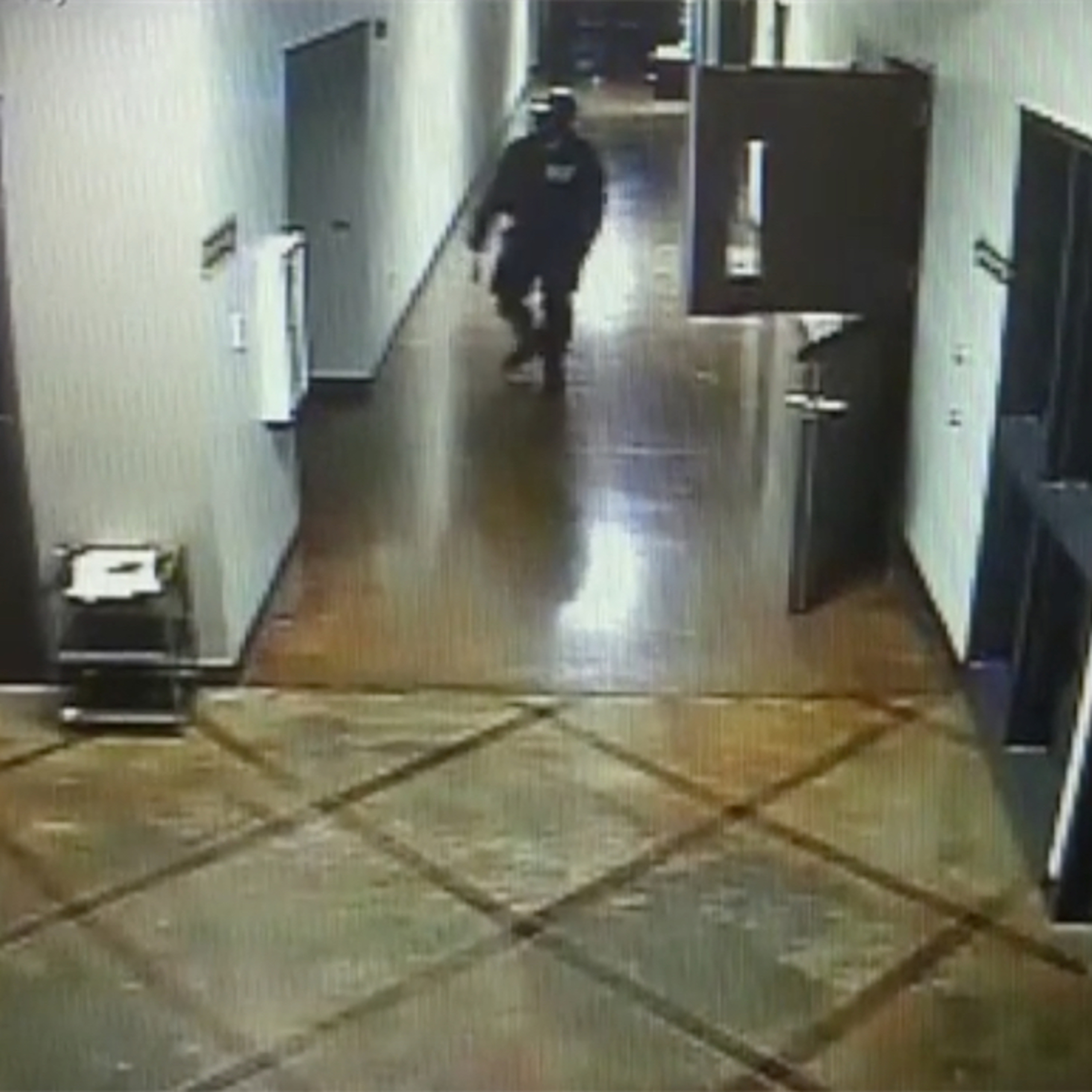 Some Psychological Aspects of Missy Bevers' Killer