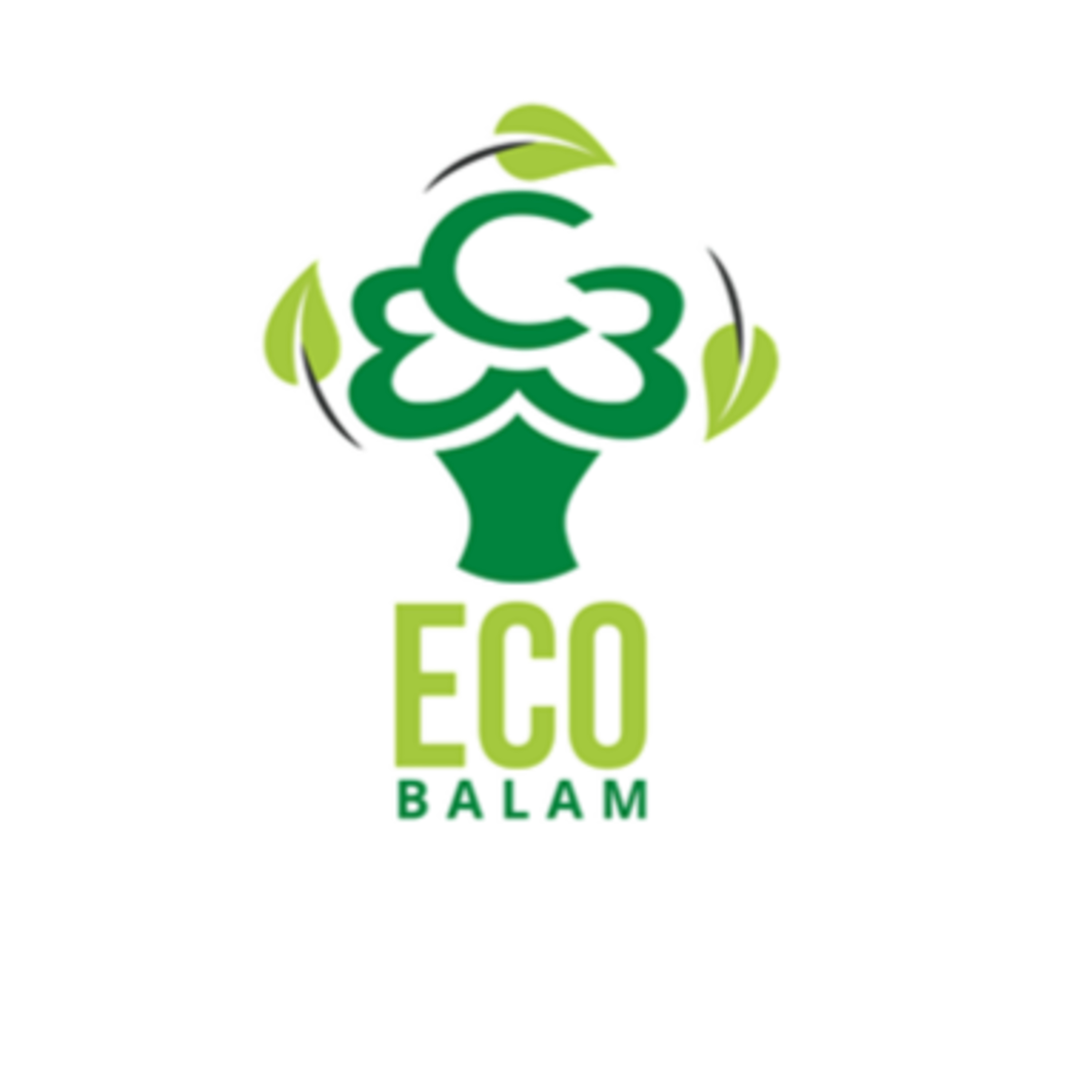Radio Balam