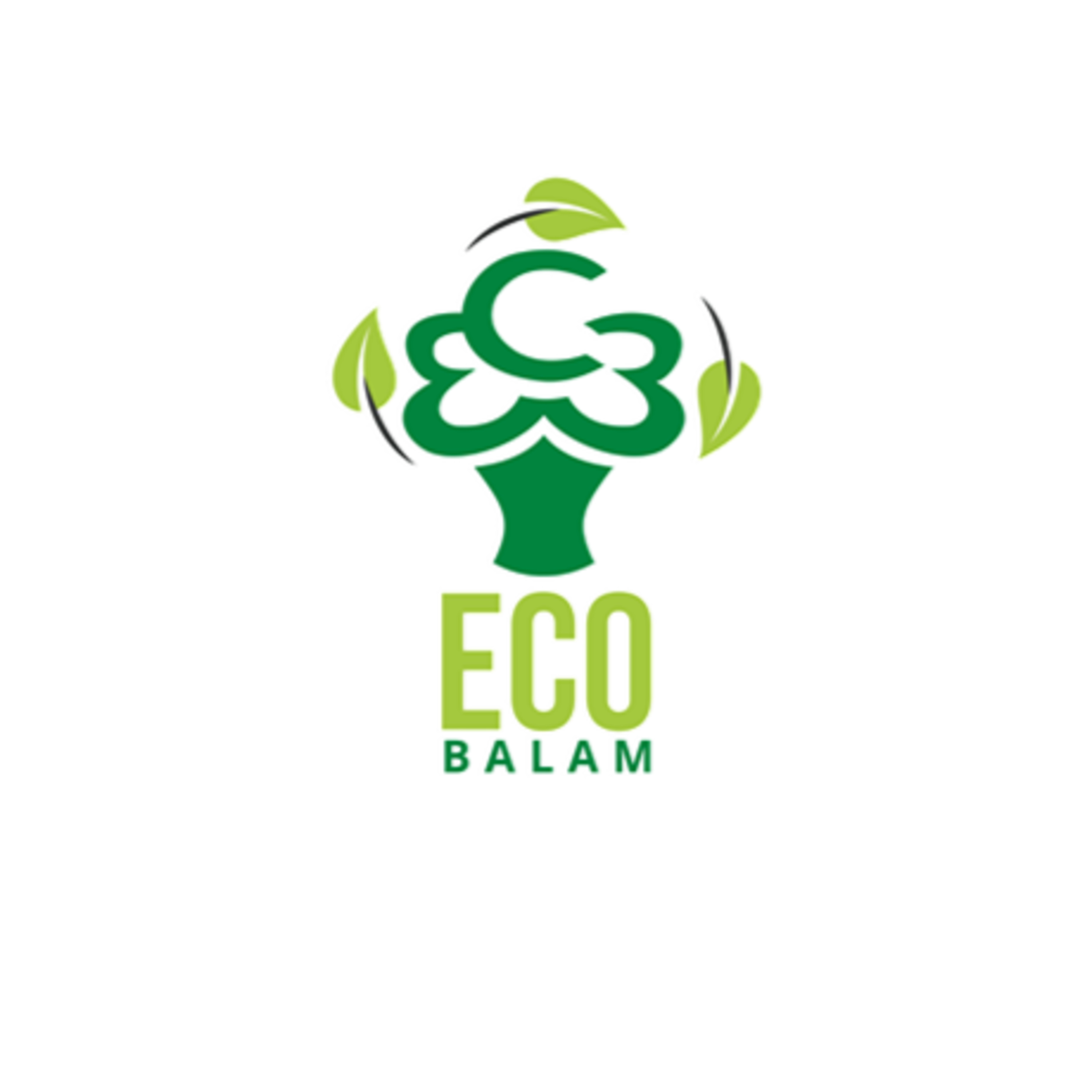 Radio Balam