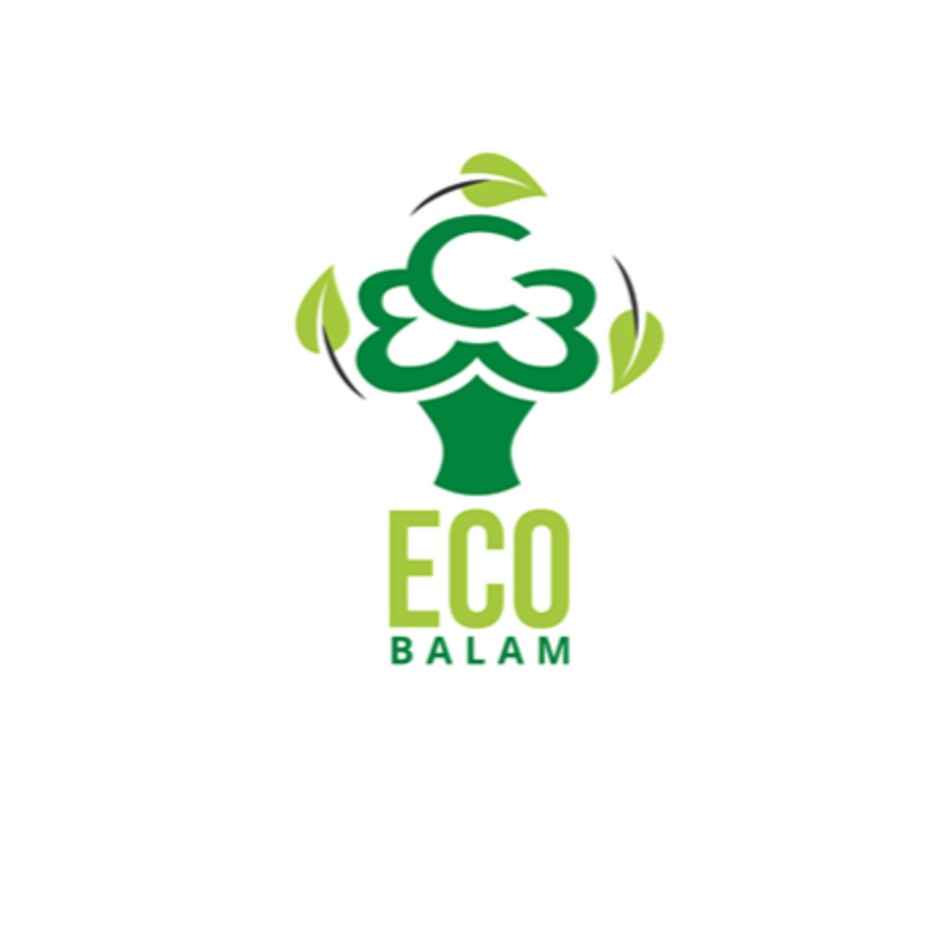 Radio Balam