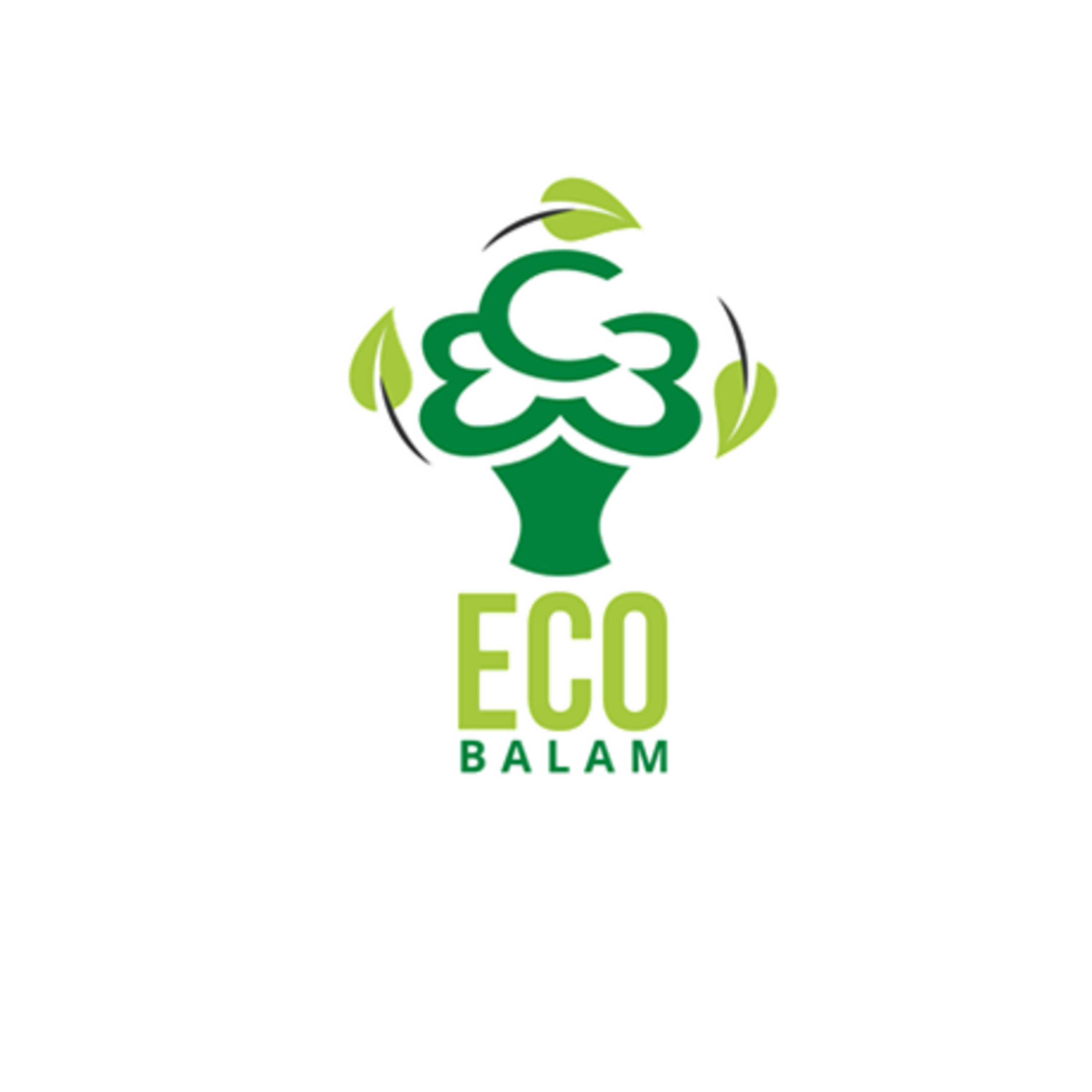 Radio Balam