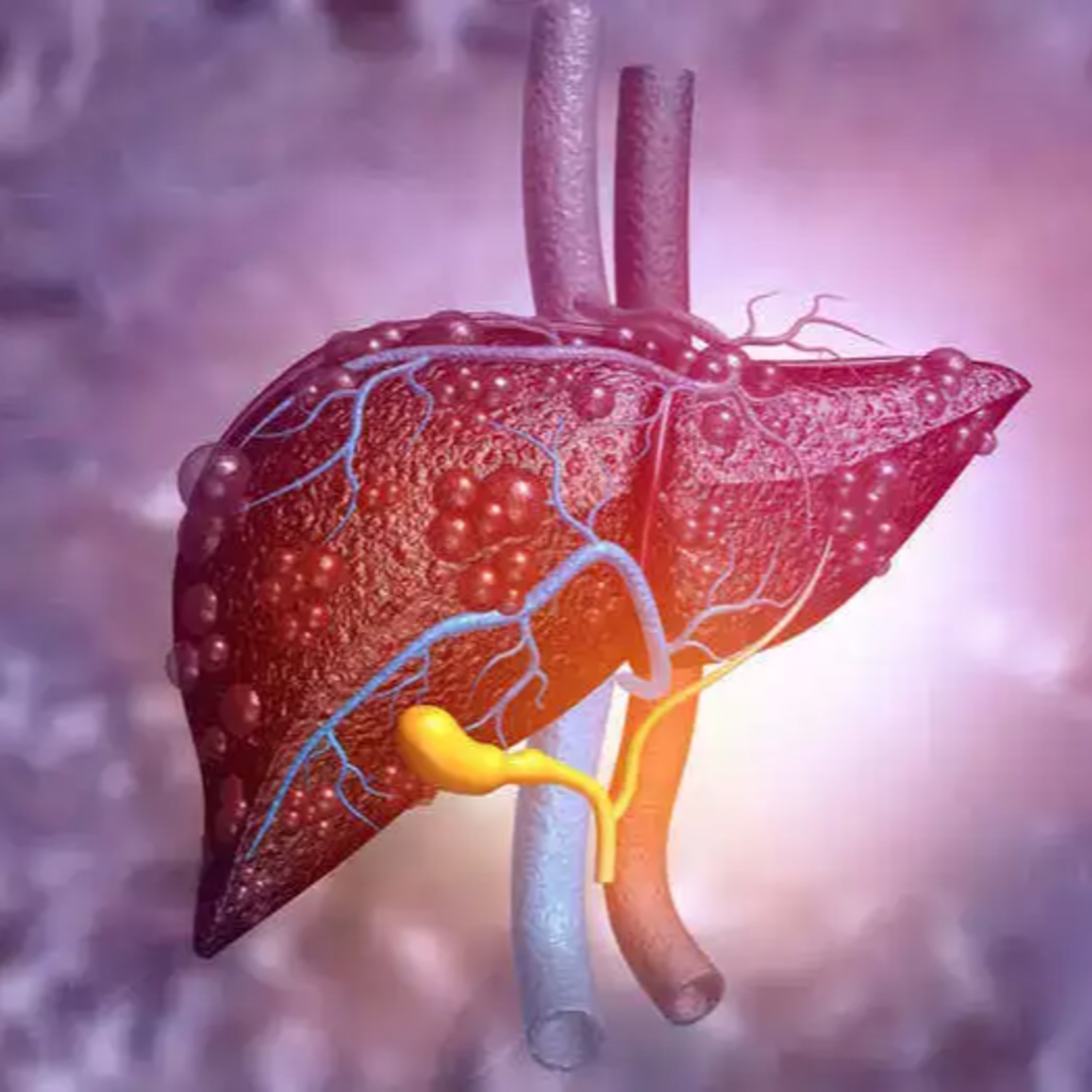 "STOP DRINKING" Let's protect the liver | Med Talks Series || Dr.Naveen Prabakaran | Dr.vijaychakkaravarthy | Dr.Thillli PhD | Dr.Radha episode artwork