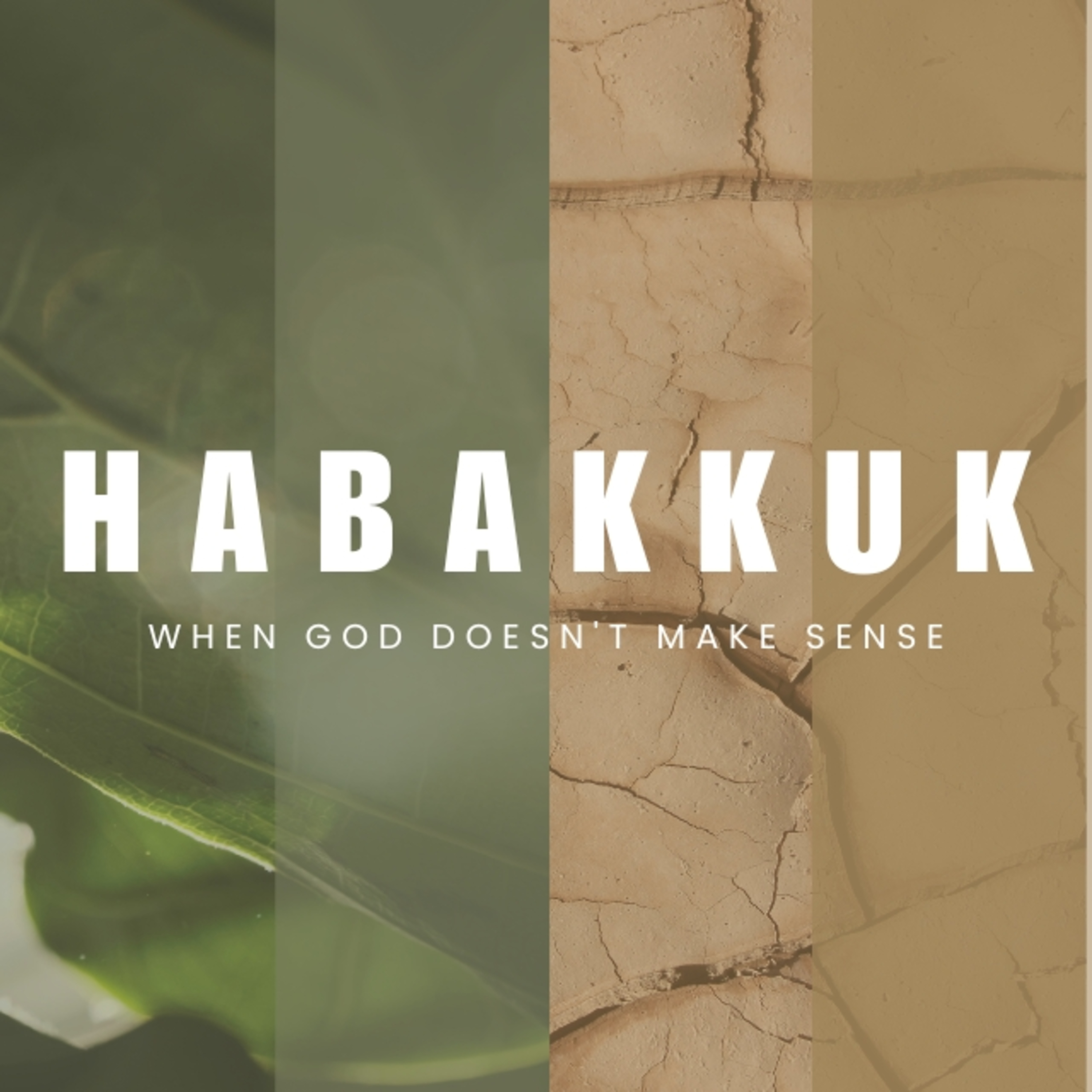 Habakkuk 3 - Anthony Laruffa