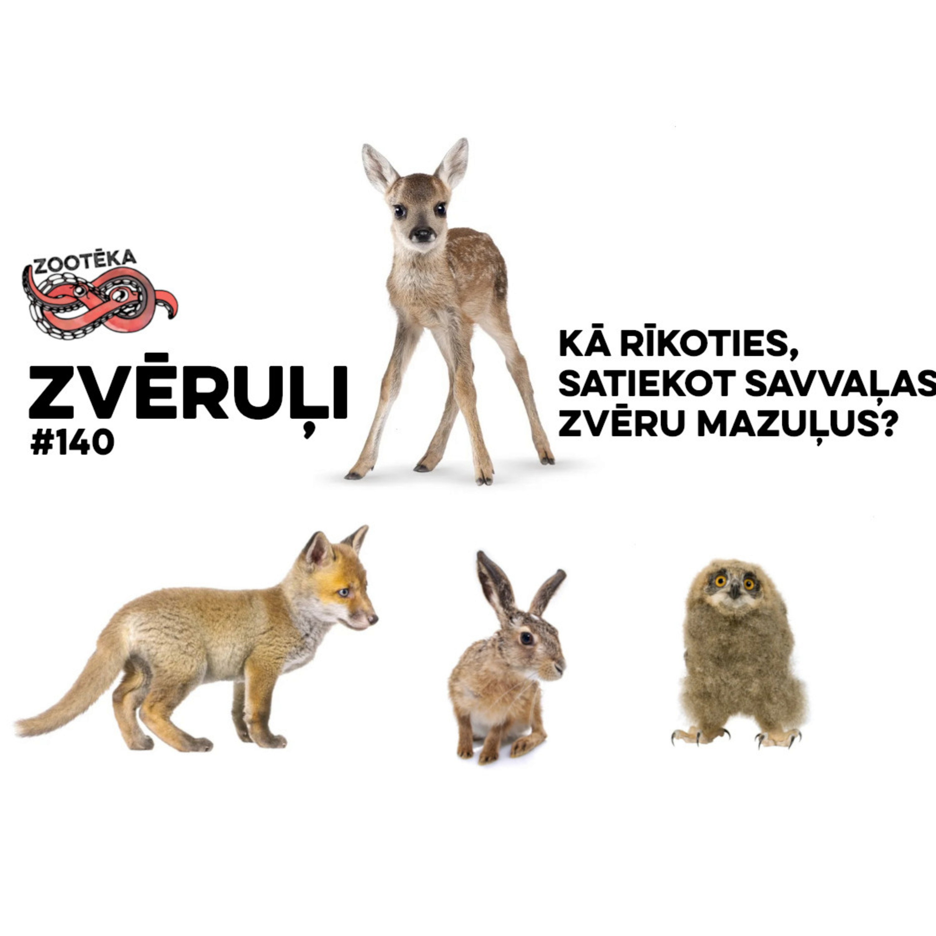 #140 Zvēruļi: kā rīkoties, sastopot savvaļas dzīvnieku mazuļus? episode artwork