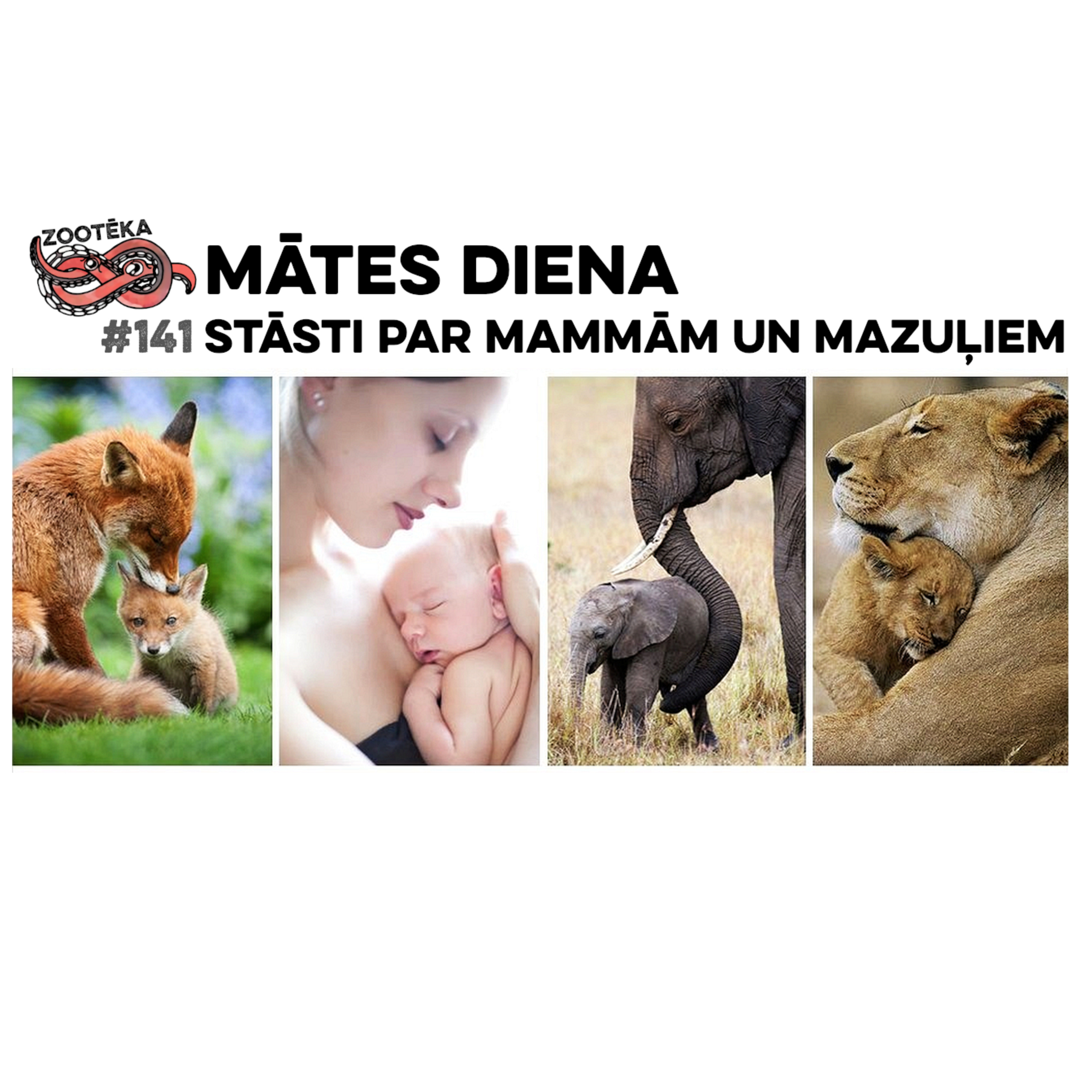 #141 Mātes dienai: stāsti par mammām un mazuļiem episode artwork