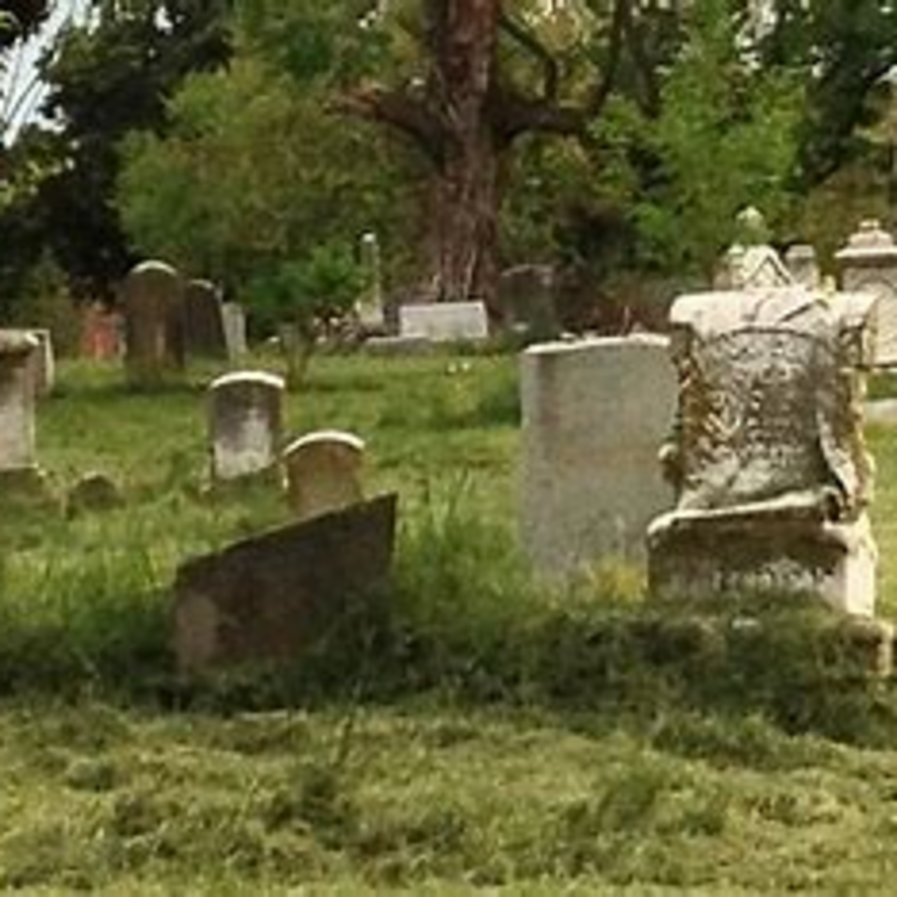 If You Have Ghosts You Have Everything...