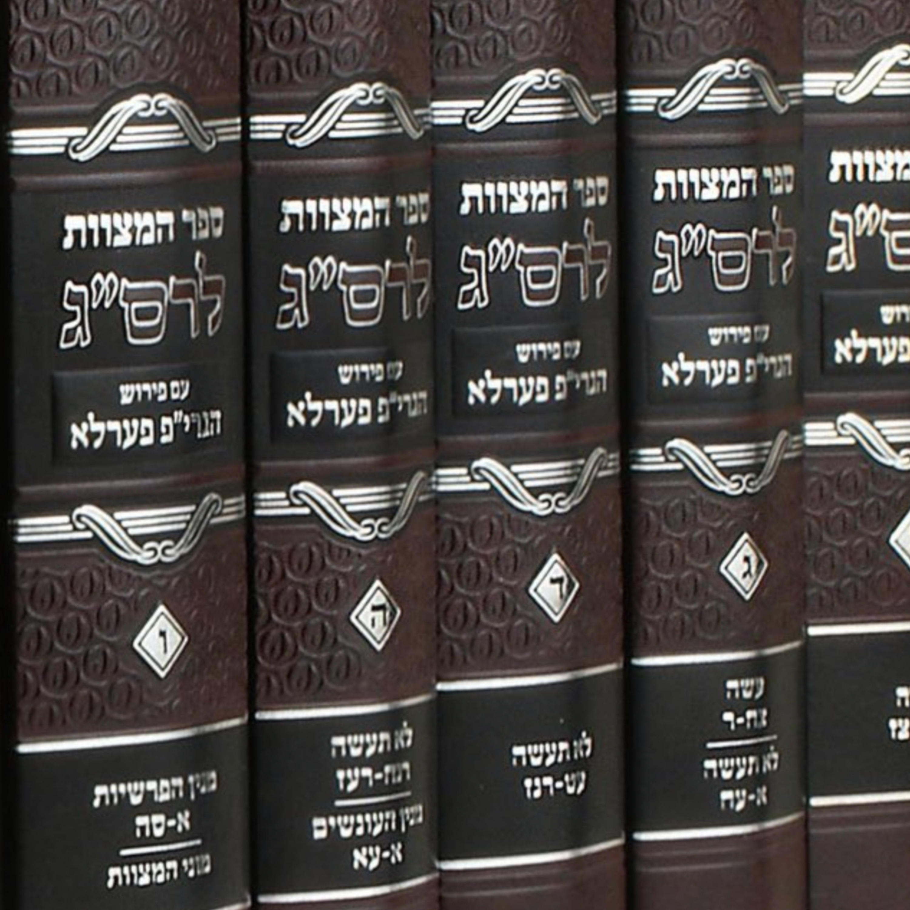 165. Shmini - The Mitzvot That Animal Carcasses Are Impure (Rasag Aseh 161-162)