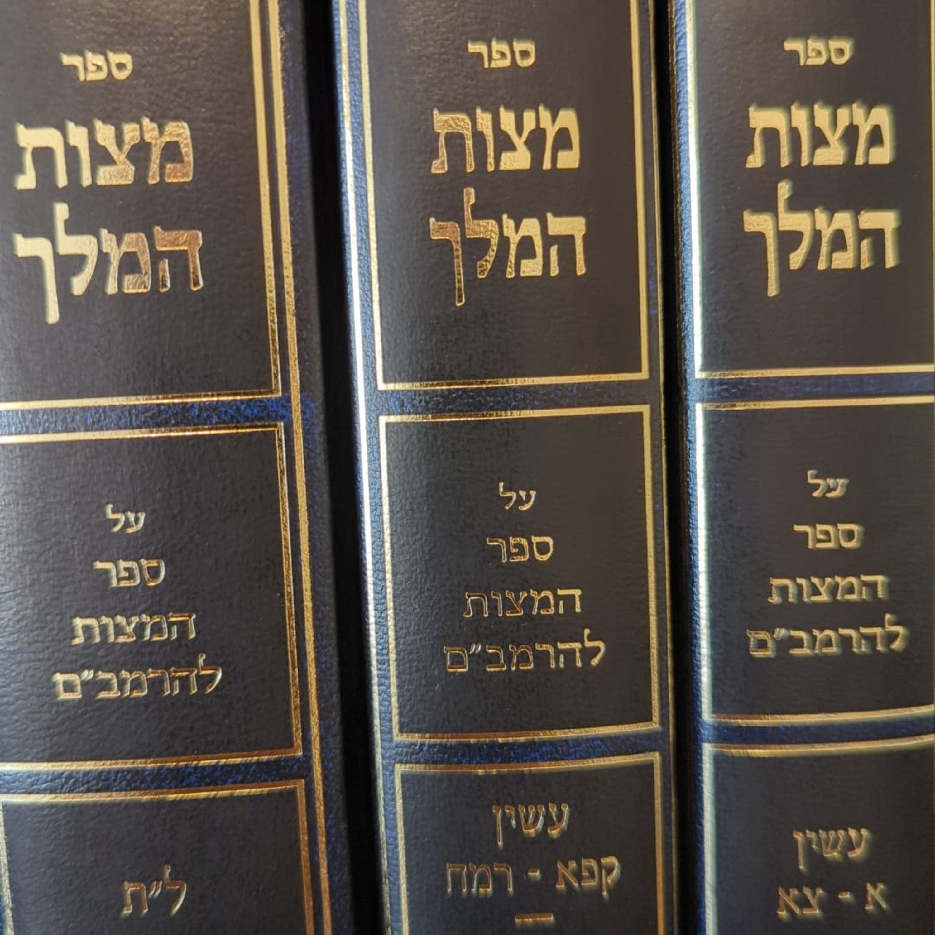 166. Tazria - The Mitzvah For a Person With Tzara'at To Behave in Certain Ways (Rambam Aseh 112)