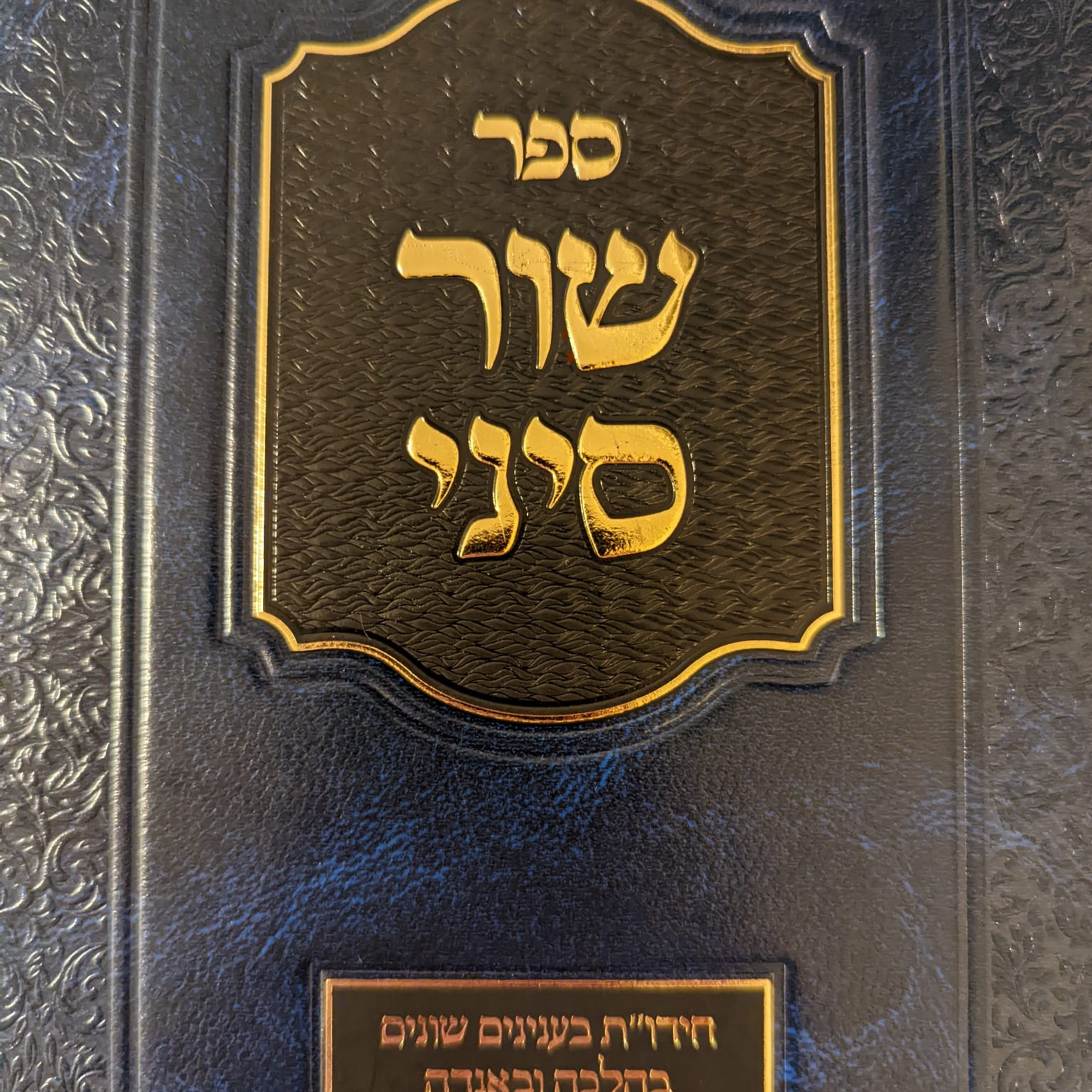 211 Ki Tissa - The Mitzvah to Give the Half Shekel (Mitzvah 105)