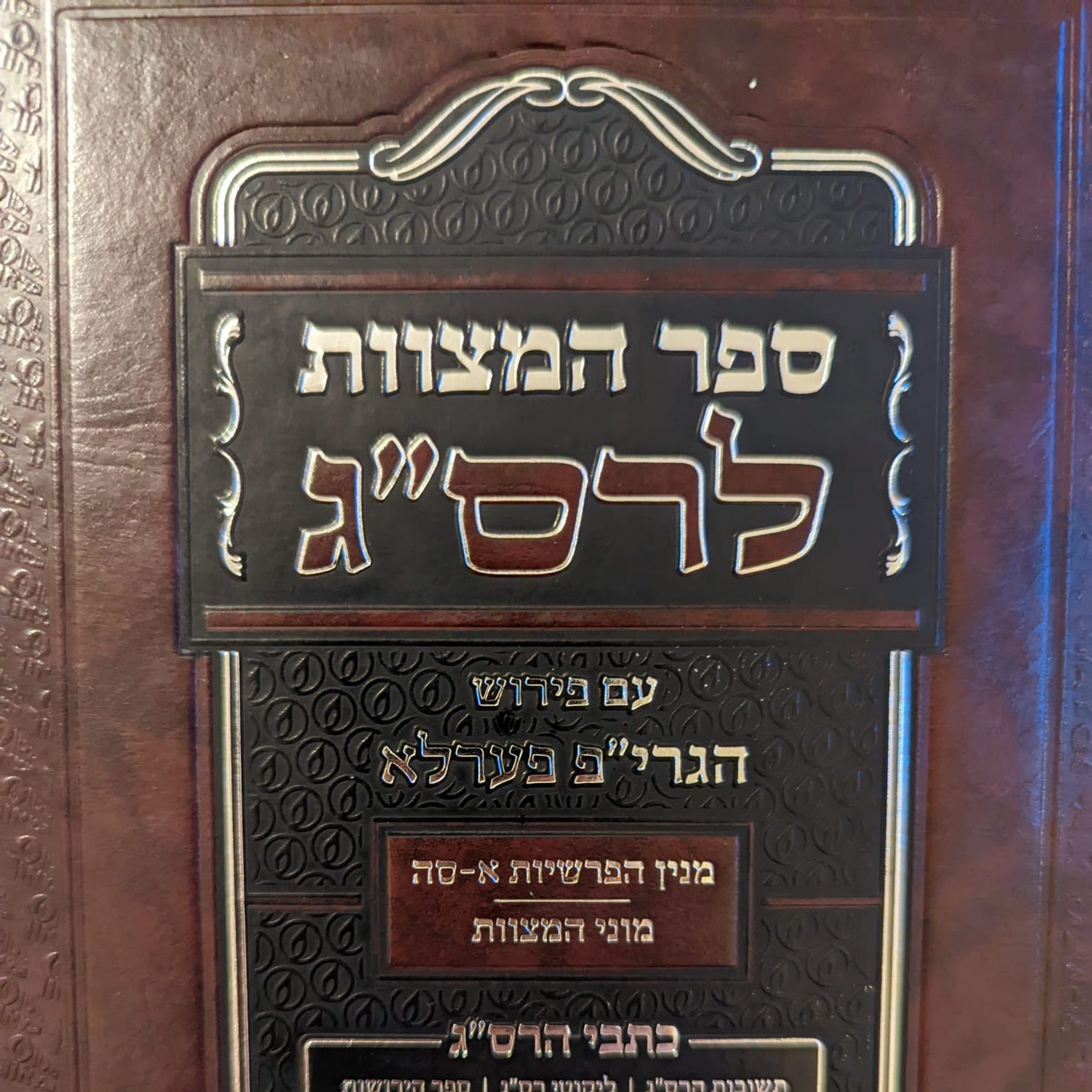 271. Shelach - The Mitzvah of the Sacrifice to Atone for Idolatry (Rasa