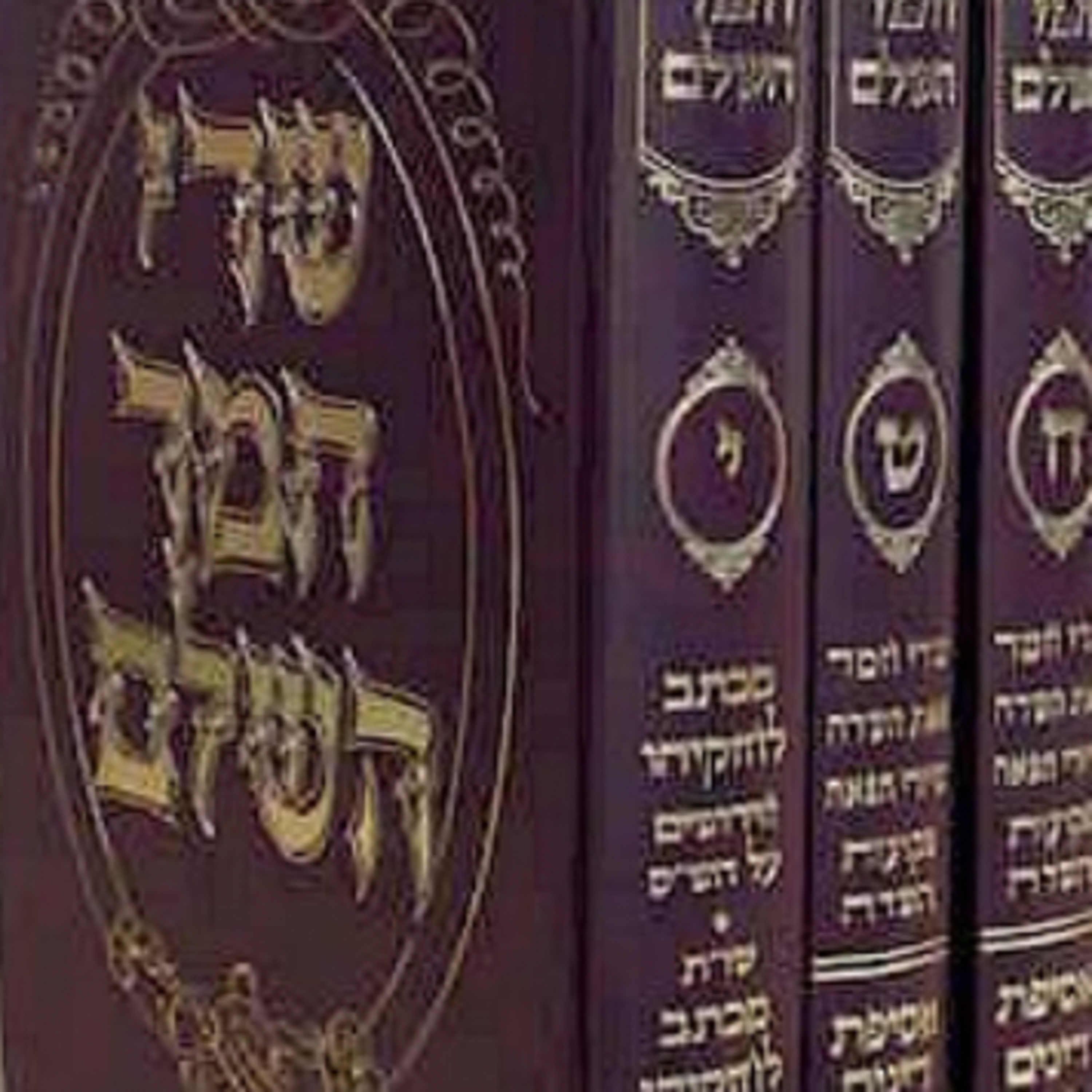 275. Pinchas - Do Mitzvot Apply in Olam Haba?