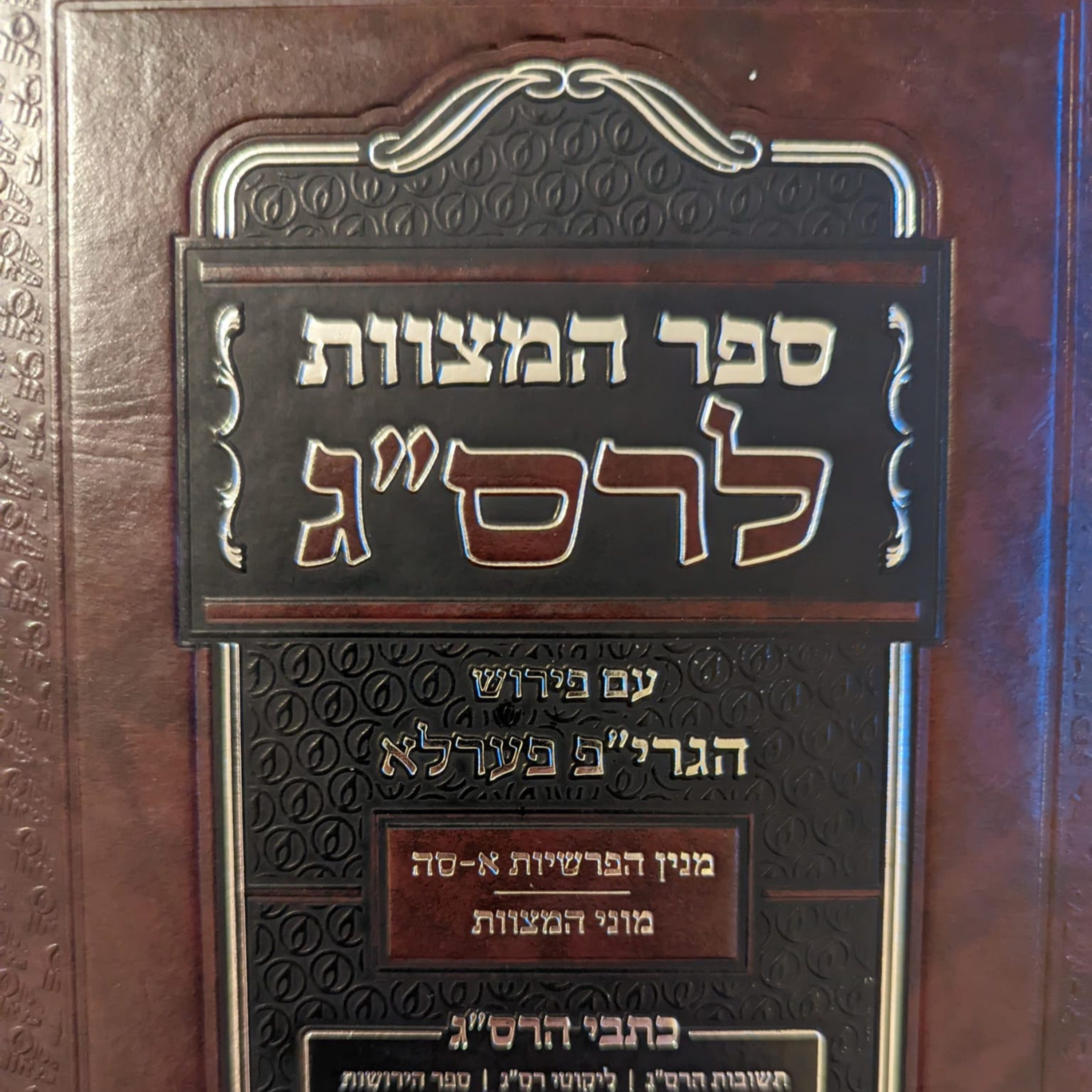 291. Vayigash - The Mitzvah (Maybe) Not to Tell a Lie (Mitzvah ??) episode artwork
