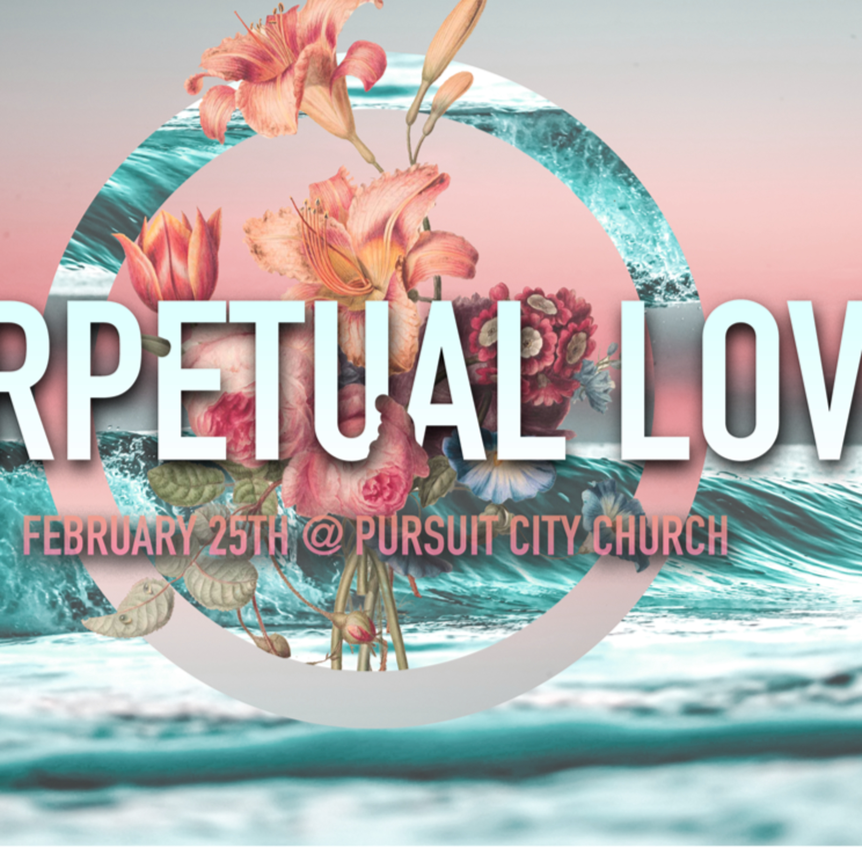 Perpetual Love - Star Loucks episode artwork