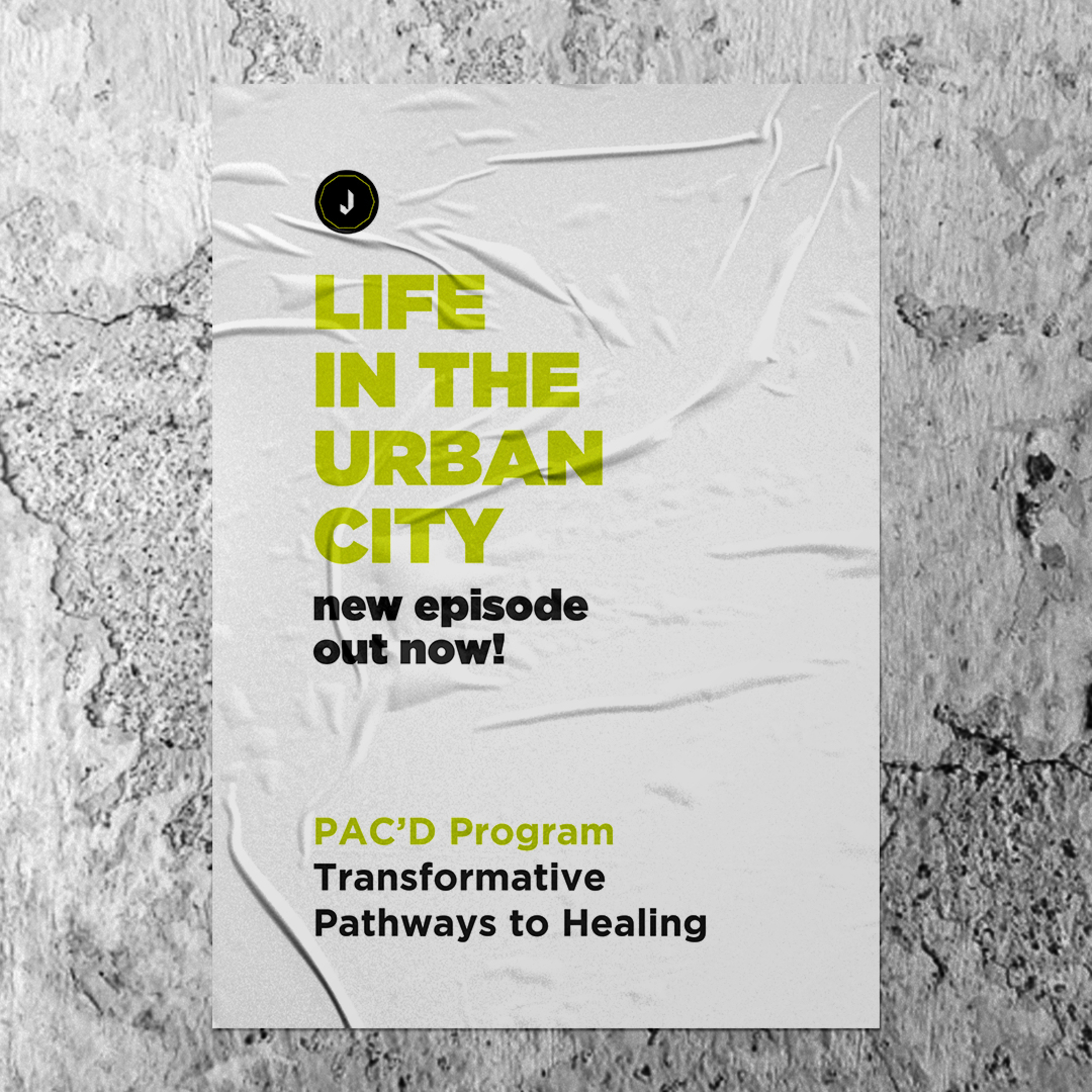 Life In The Urban City: PAC’D | Transformative Pathways To Healing episode artwork